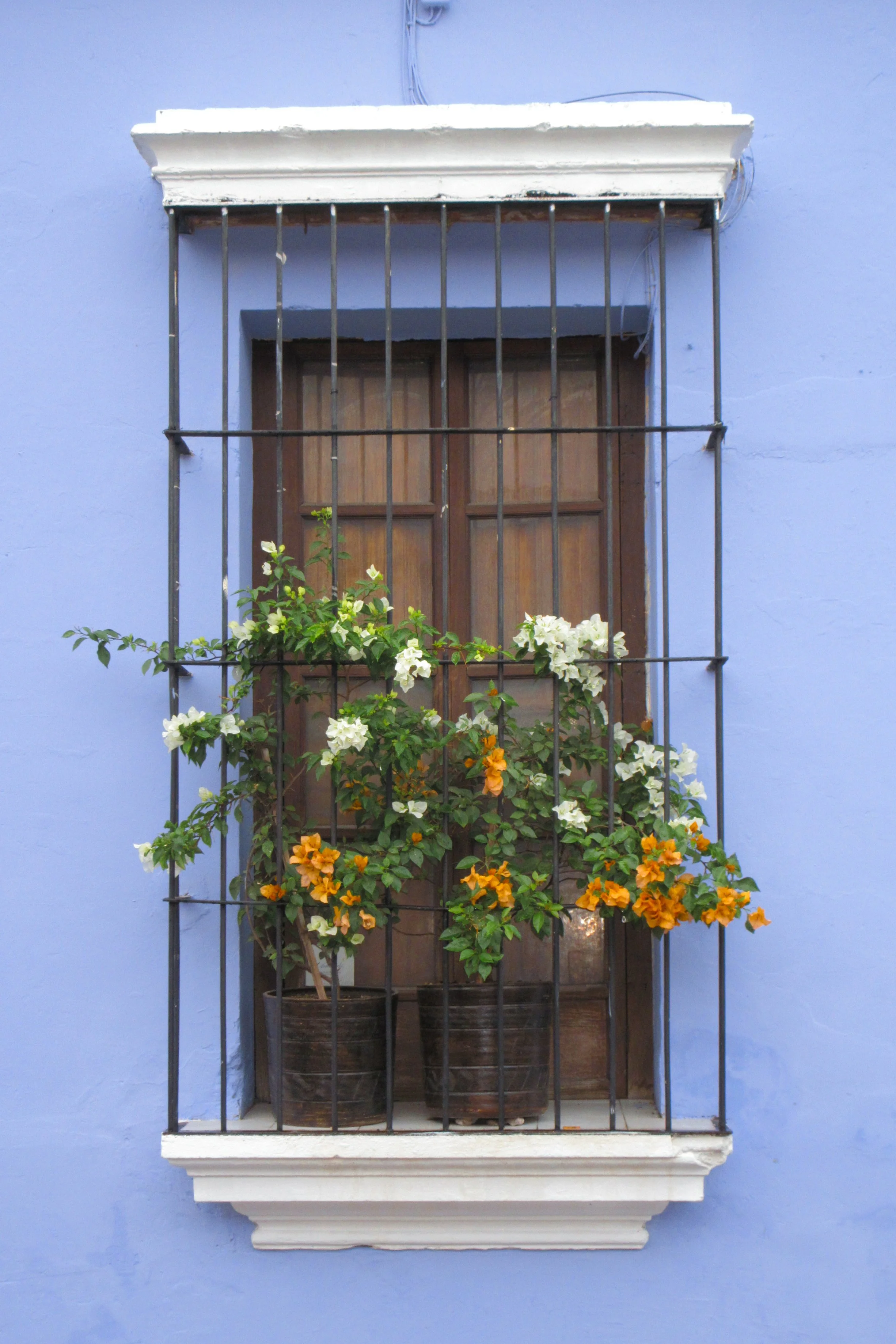 IMG_0053.png