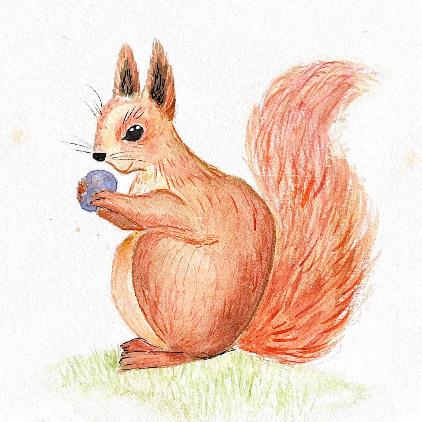 Scanned Documents.PNG