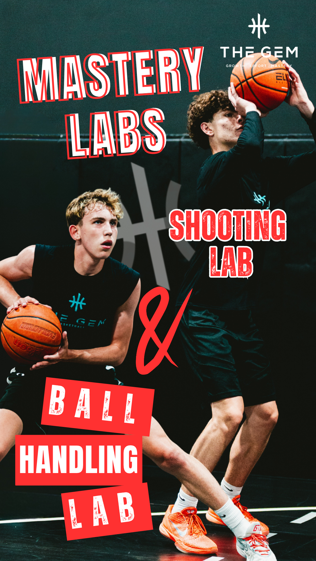 mastery labs.png