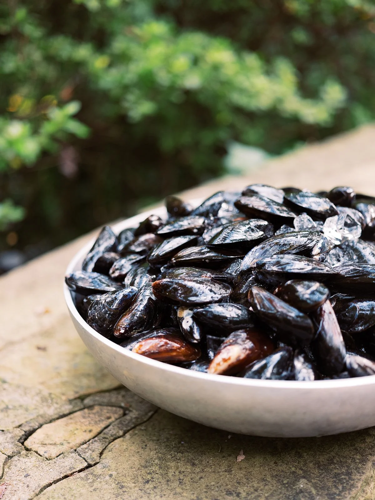 Bowl of fresh mussels on a stone surface with lush greenery in the background, food photography by Cody Myers