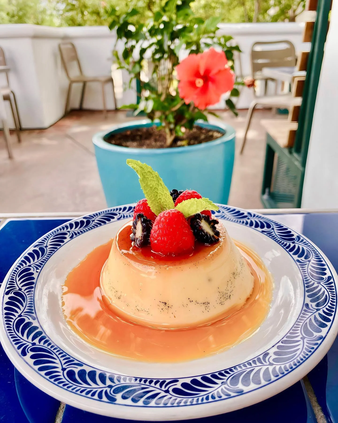 Vanilla-bean Flan