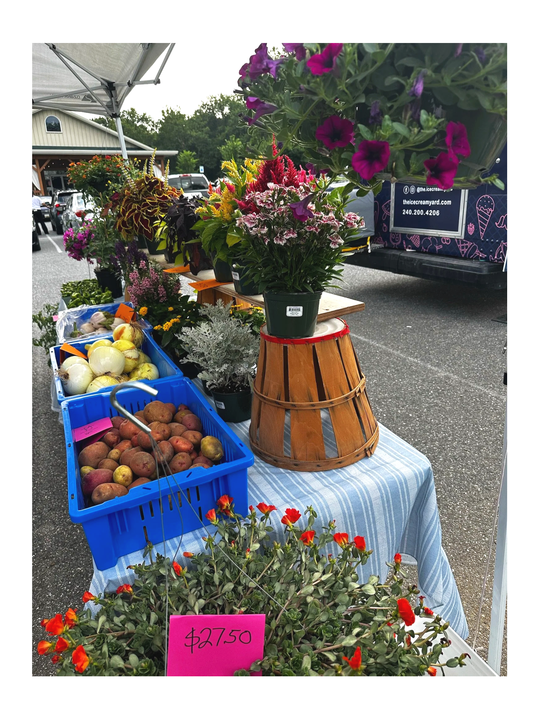Farmers Market and Events: What do we have planned?