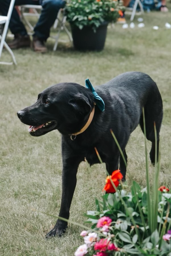 83834582-1294-4FD7-8C26-E00CF7148D60 2.PNG