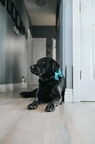 3D881B45-F94A-4669-AAF7-1B40E752DFE8 2.JPEG