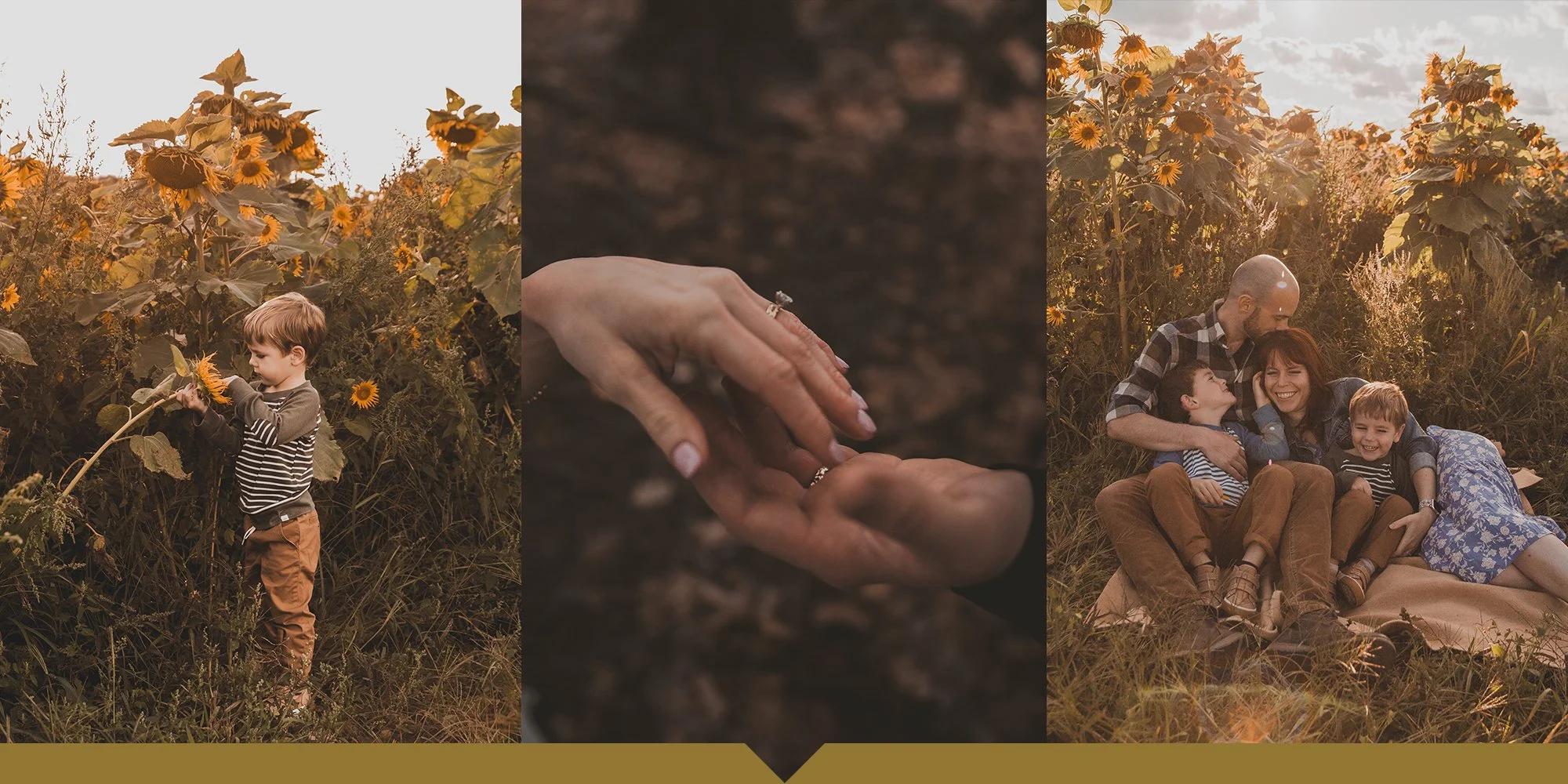 Home Gallery 11 copy.jpg