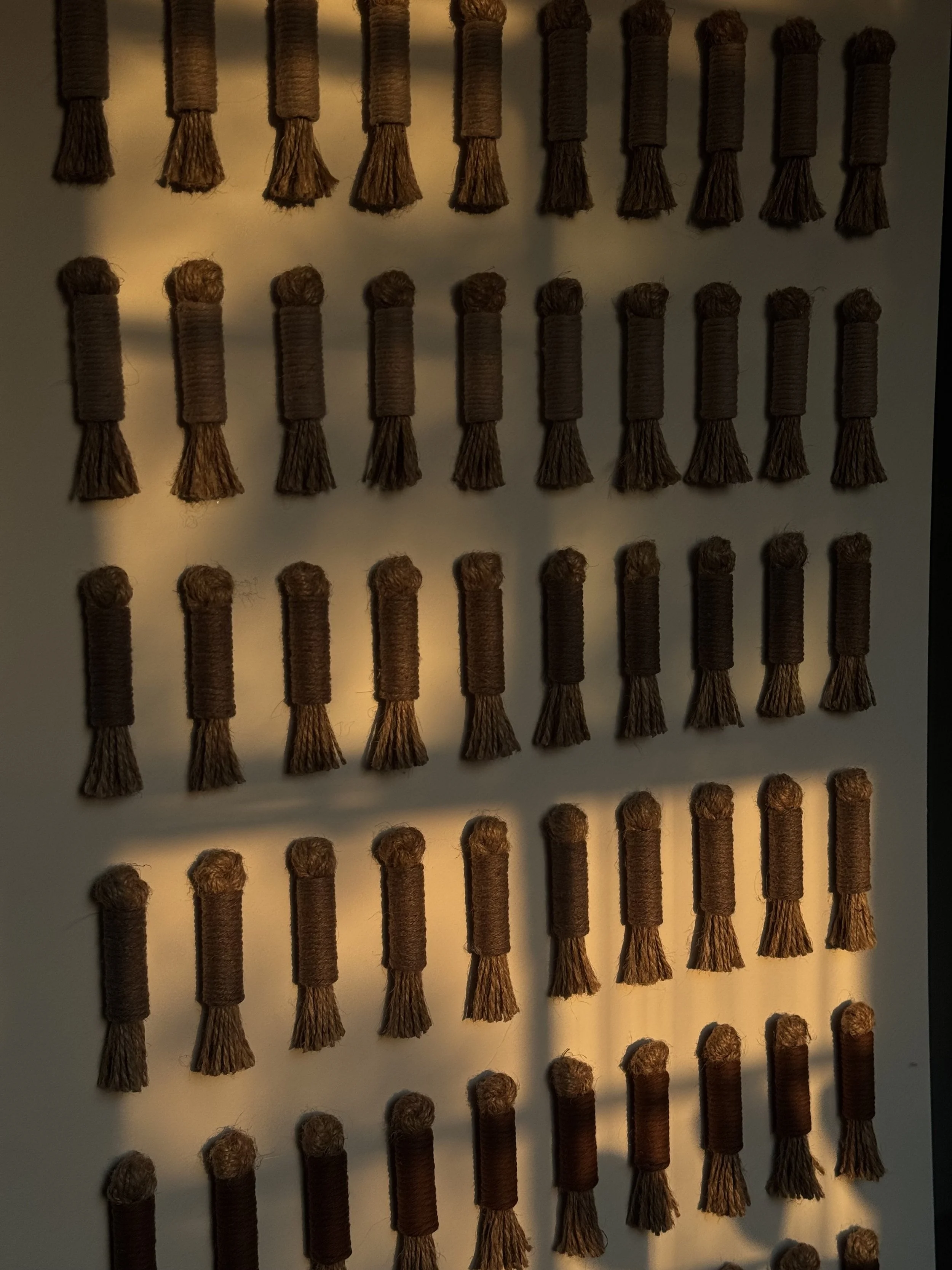Tiras de hilo enrolladas en forma de pequeños cilindros, colgadas en una pared, dispuestas en filas verticales.