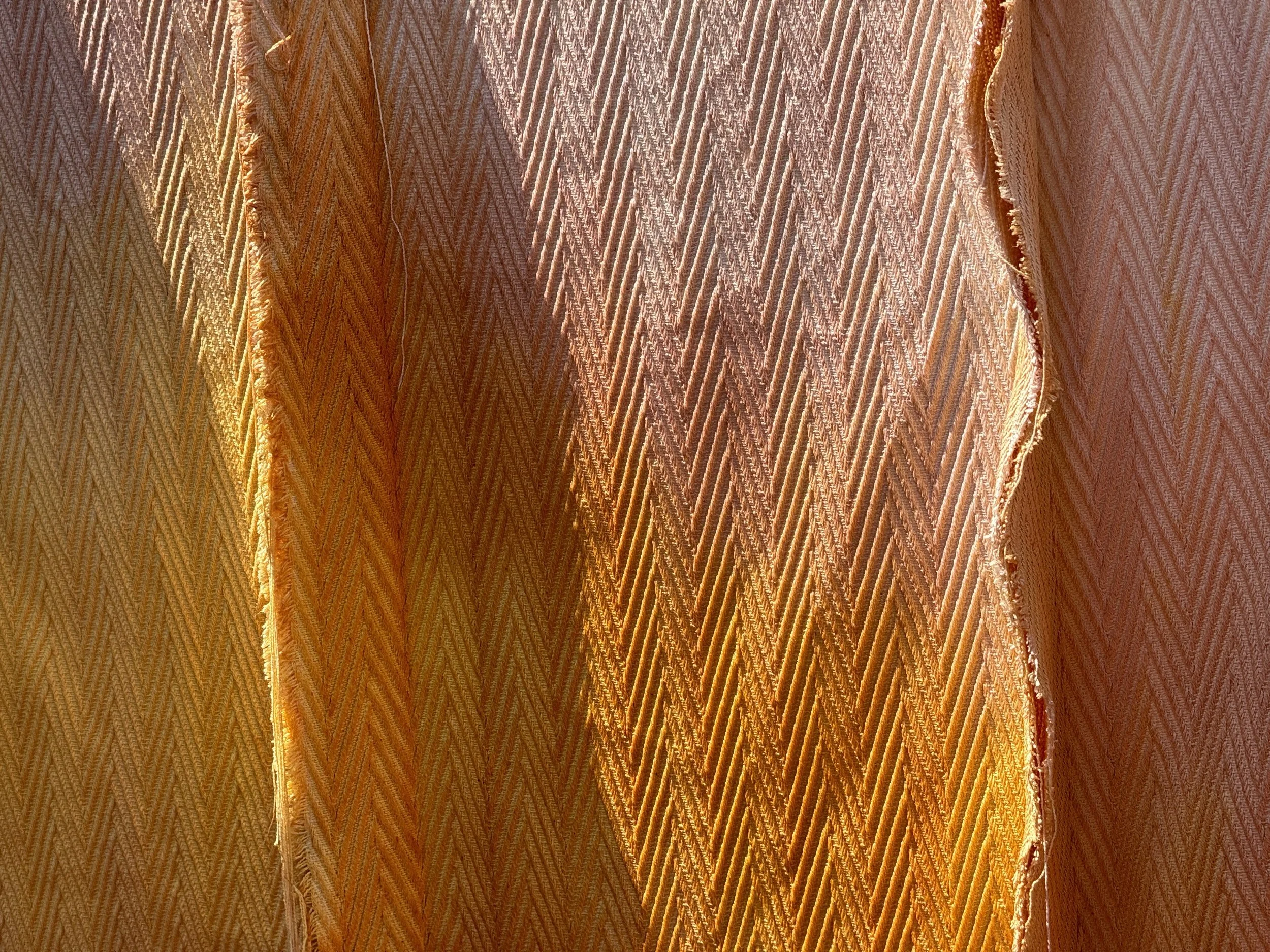 IMG_0853.jpg
