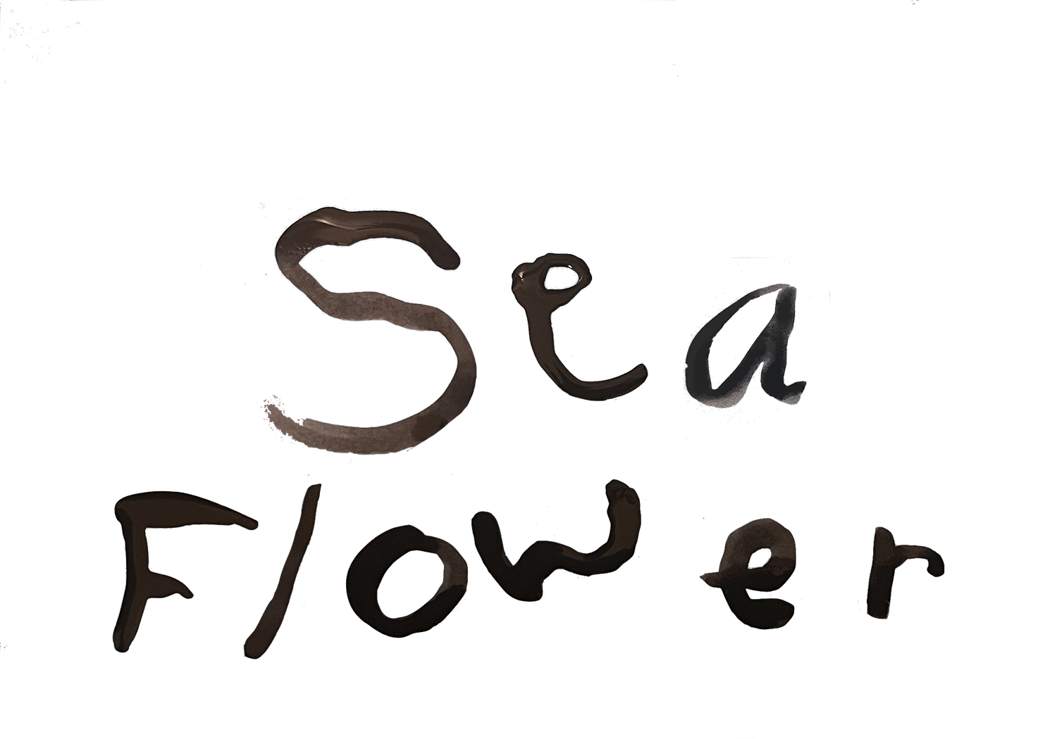 Sea Flower