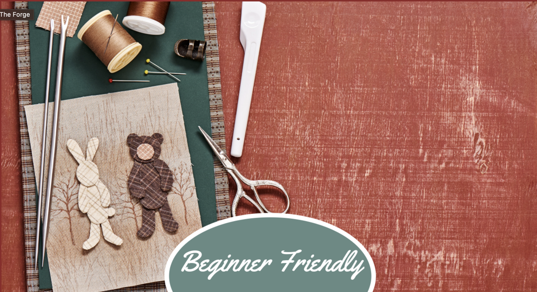 Beginner's Introduction to Hand Applique'
