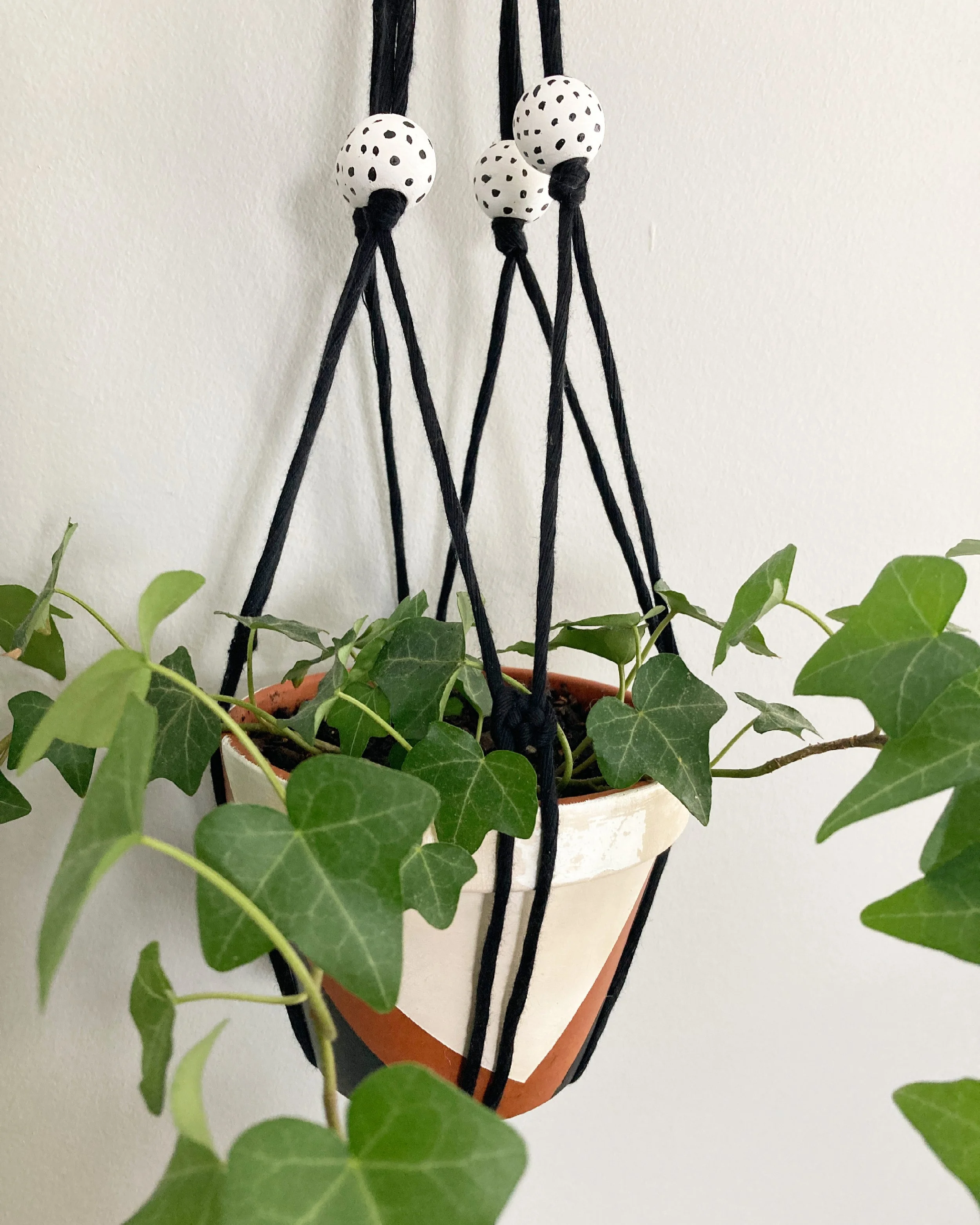 Beginner Macrame: Plant Hanger