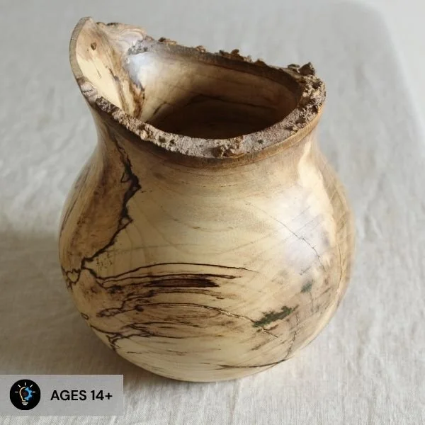 Master Wood Turning: Small Vessel