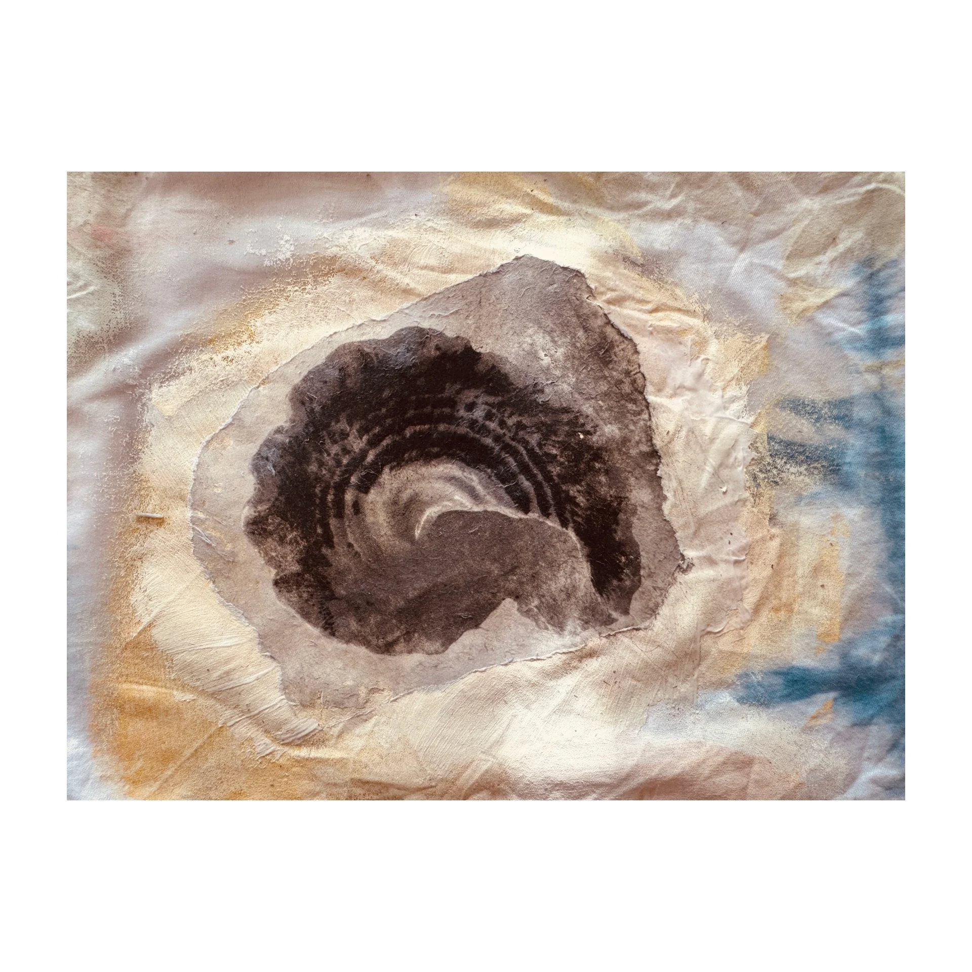 Shell Transfer on Sheets.JPG
