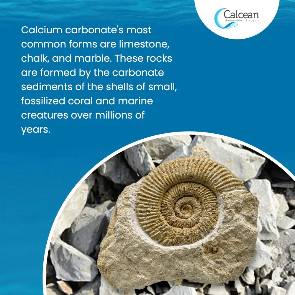 Calcium Carbonate Rock Uses