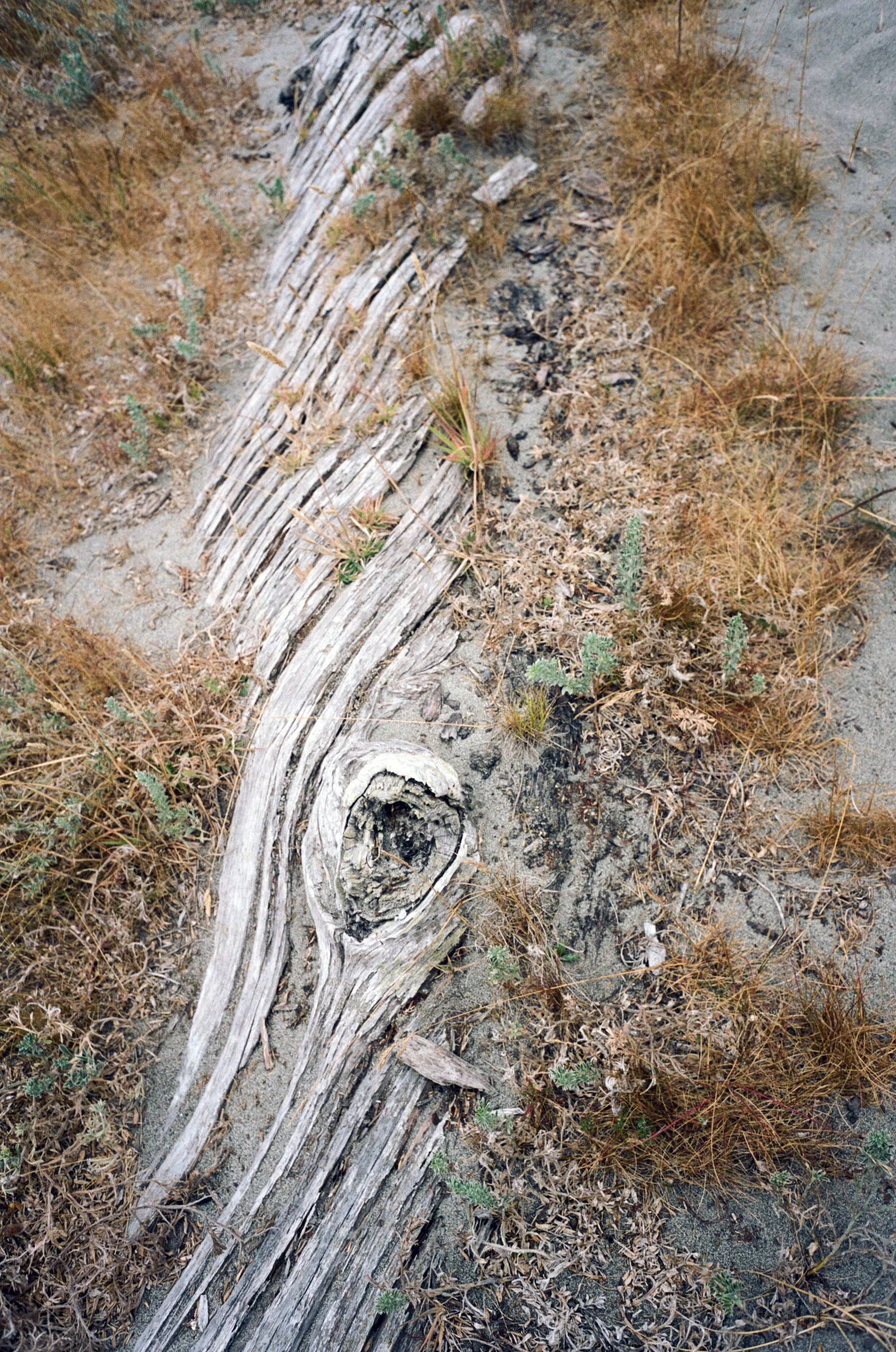 A personal list of Reiki Principles