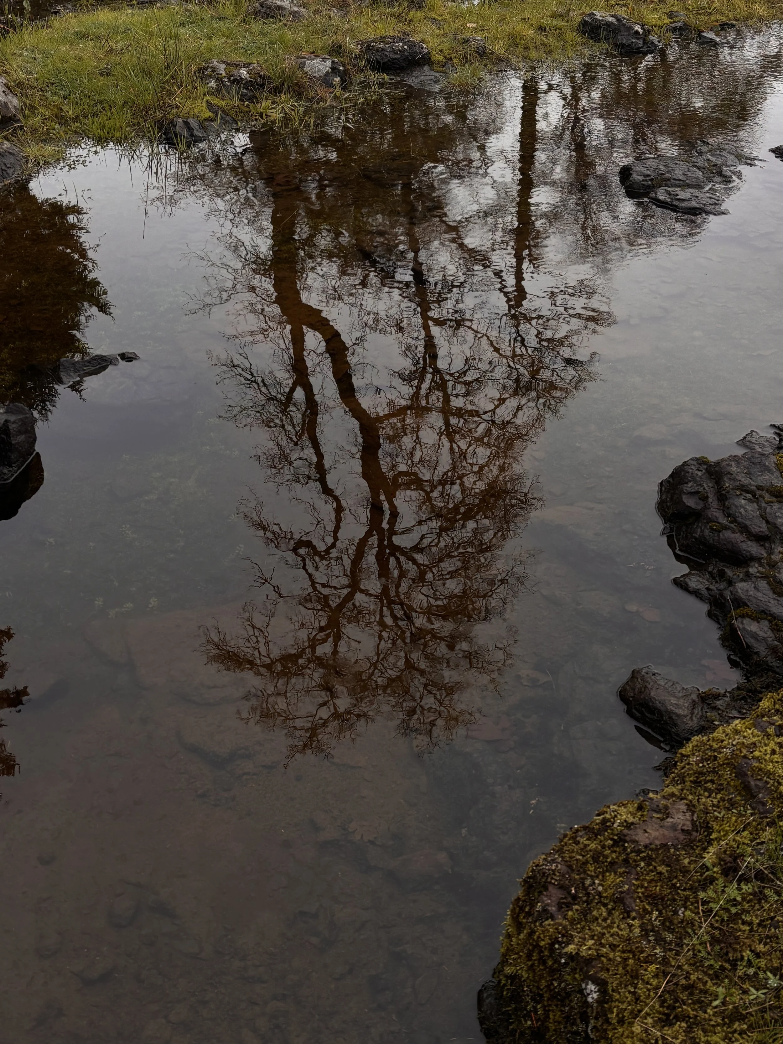 Poem №074 – Perspective