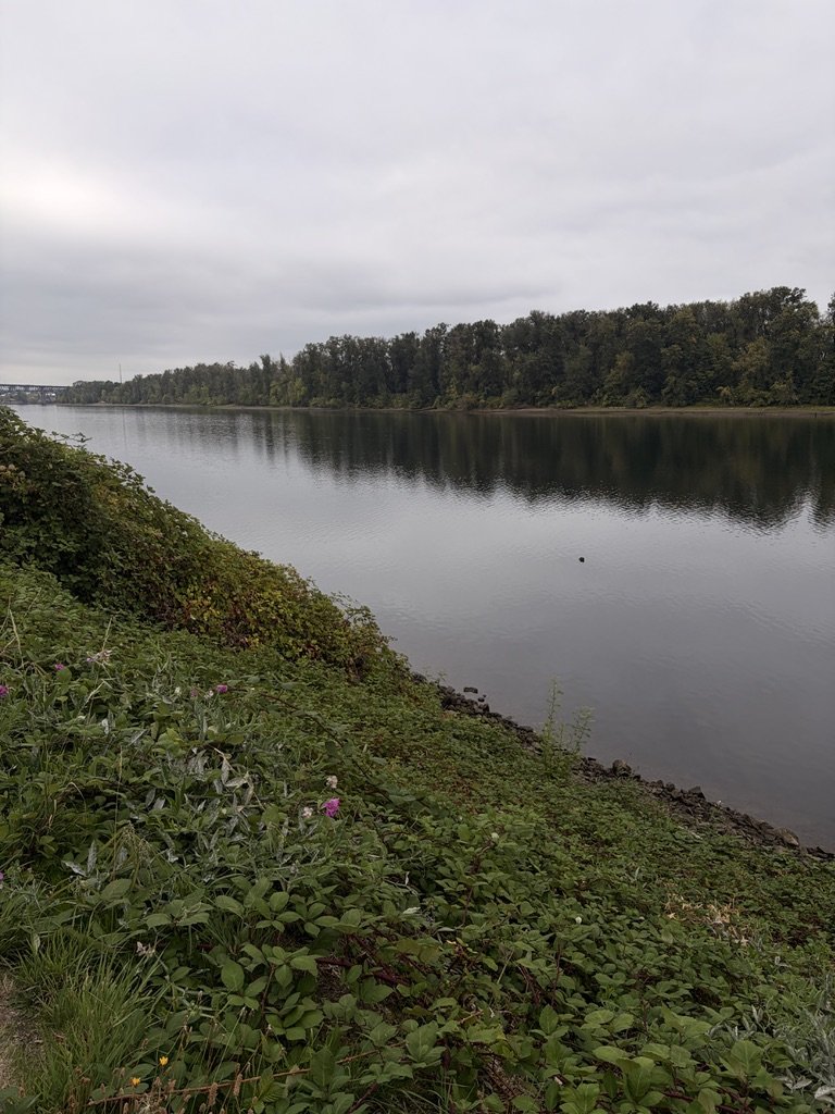 Poem №087 – Body of Water