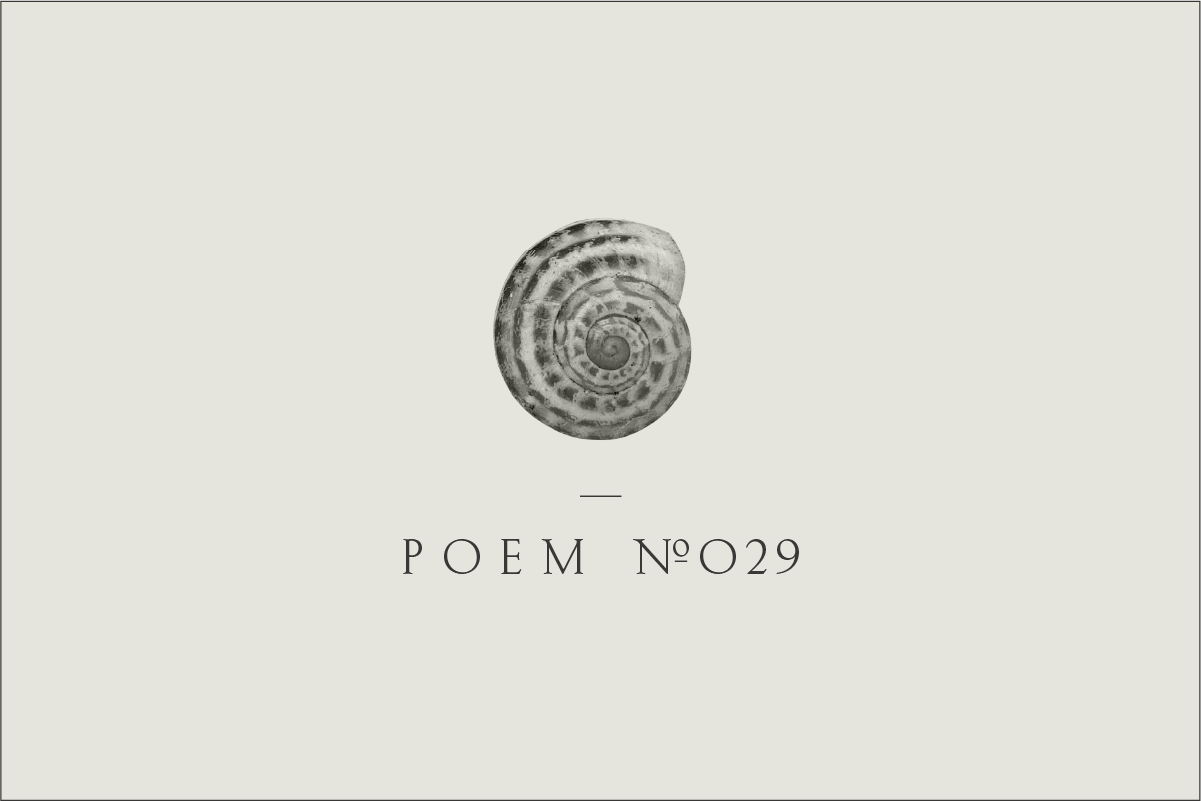 Poem №029
