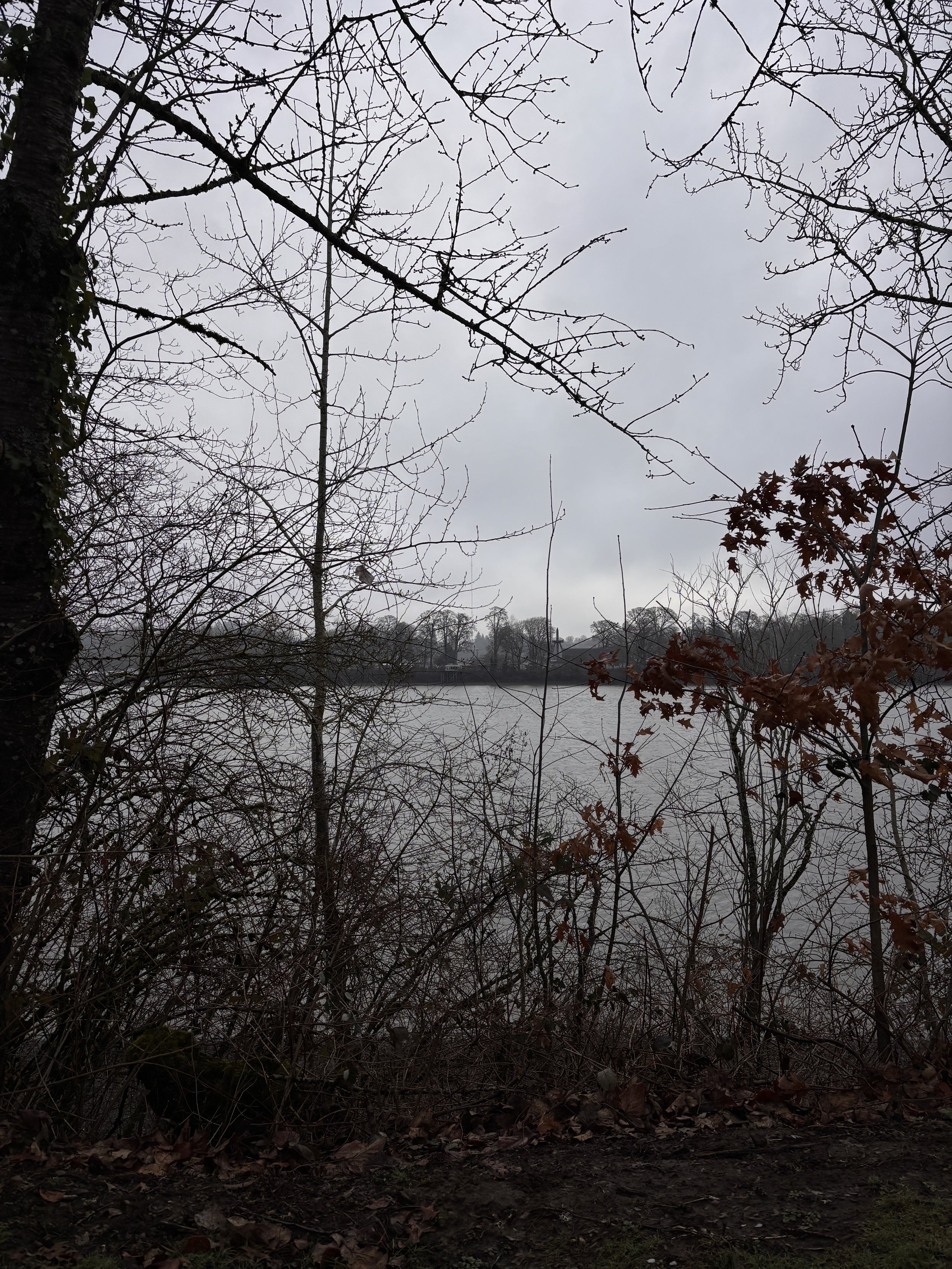 Meditation Practice Day 9