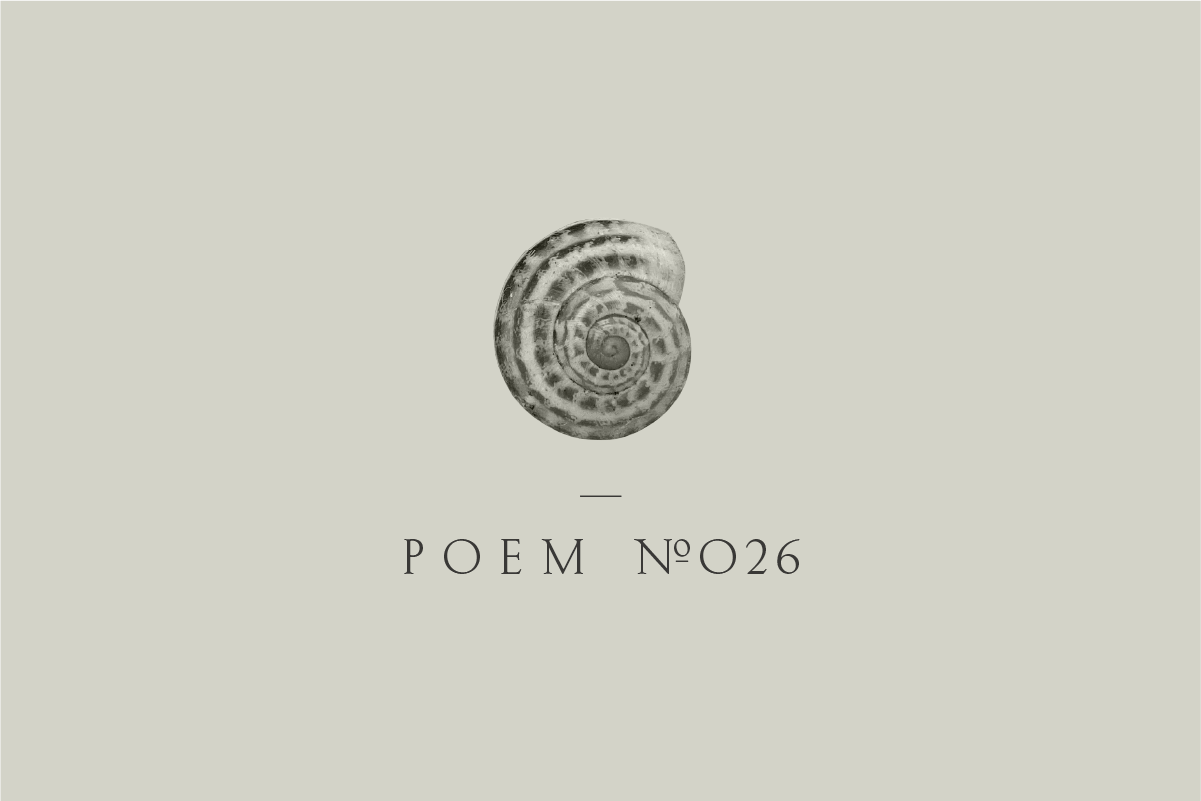 Poem №026