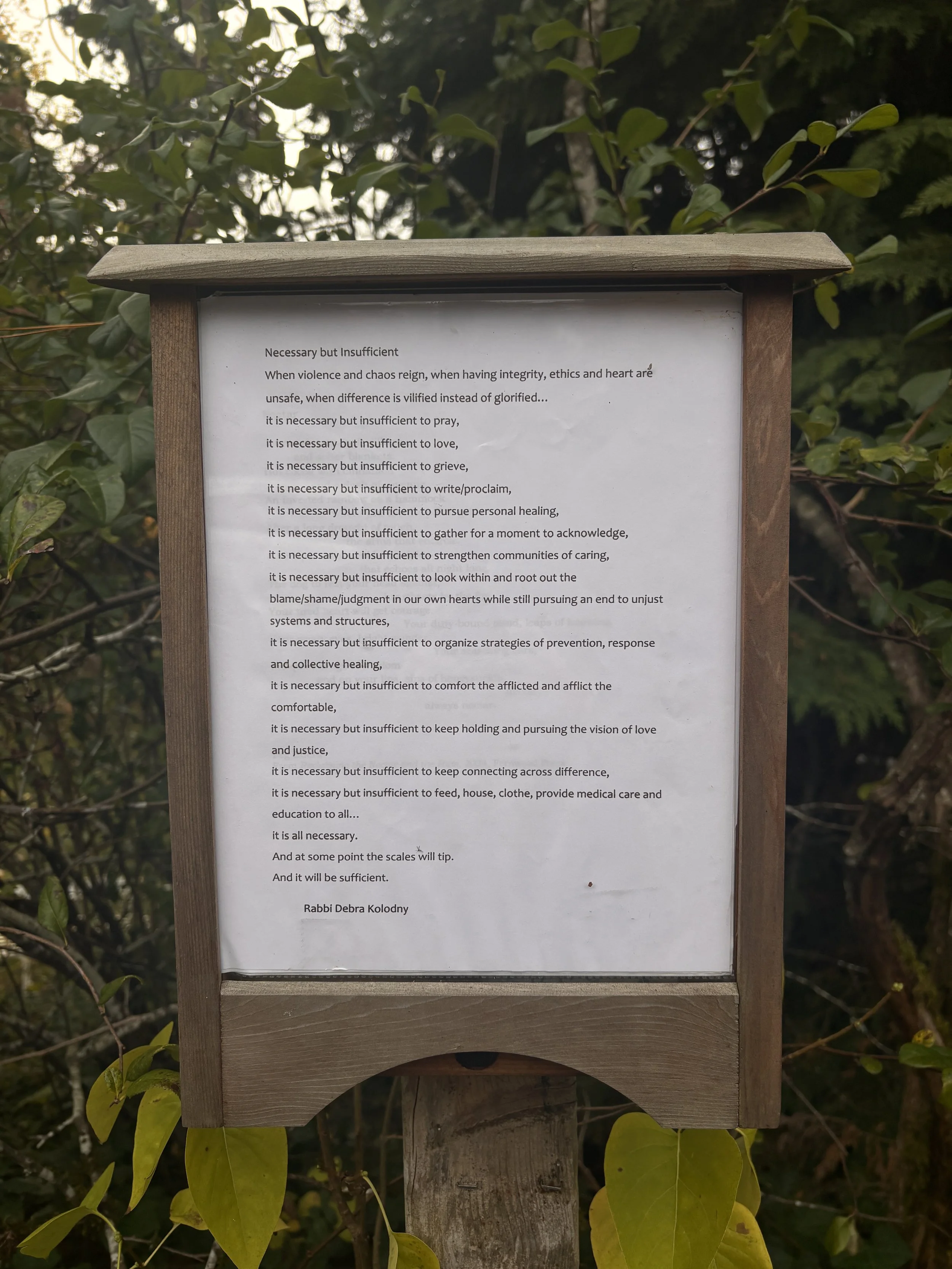 Day 26 : Kindness and Connection