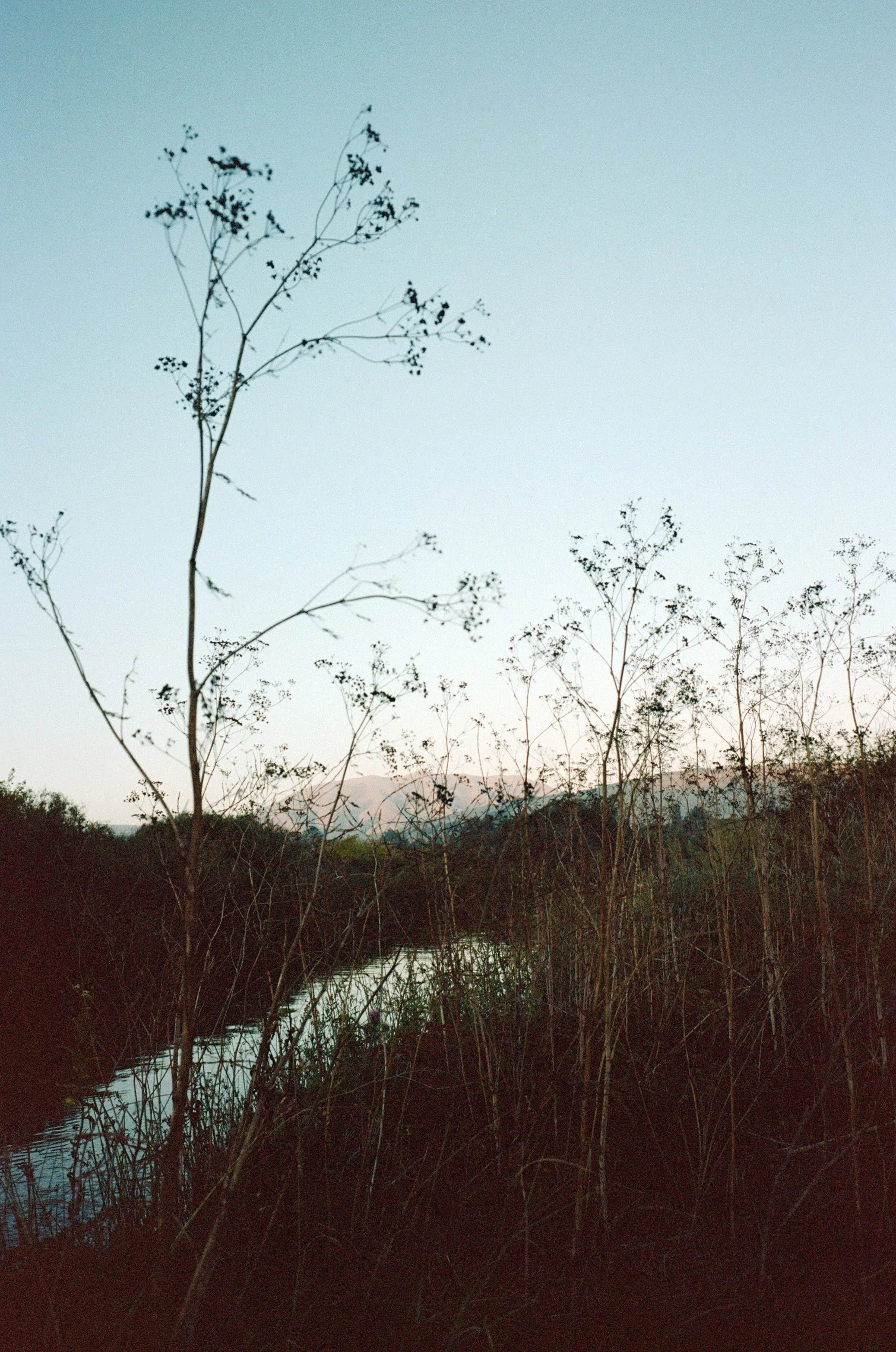 to moving gently between inner, and outer, seasons