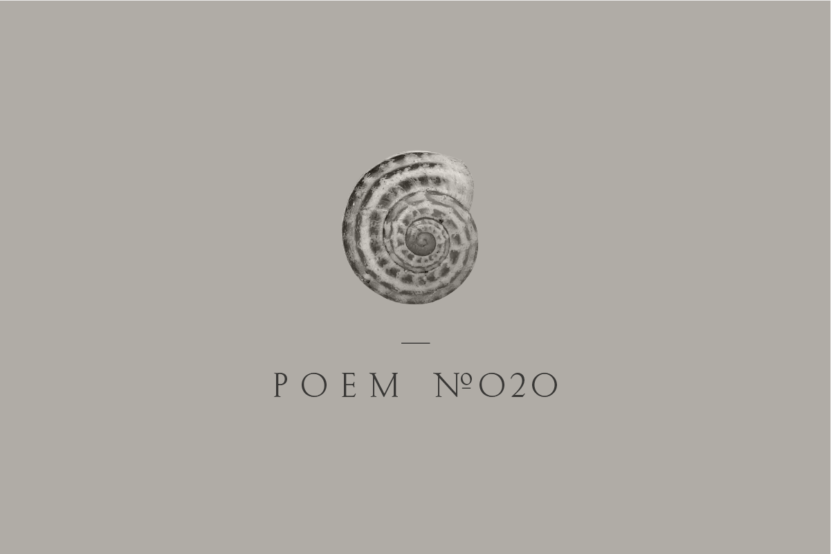 Poem №020