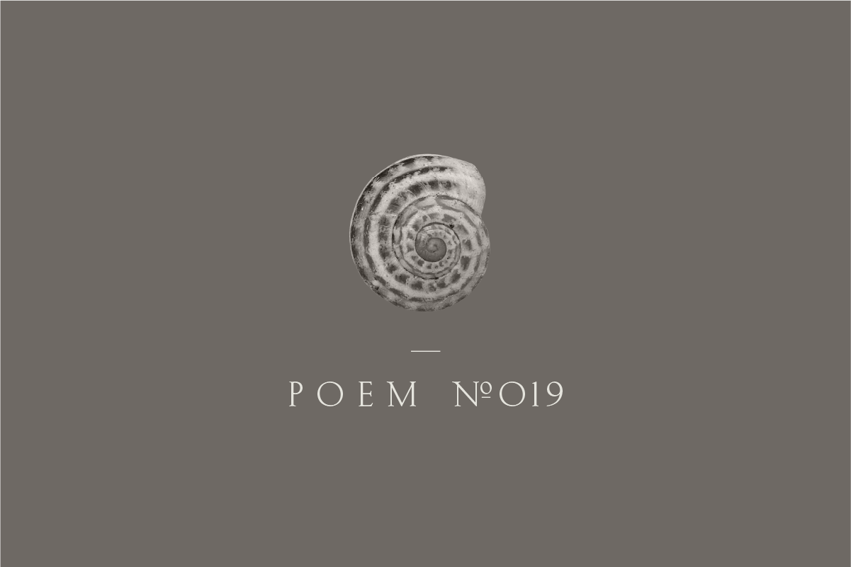 Poem №019