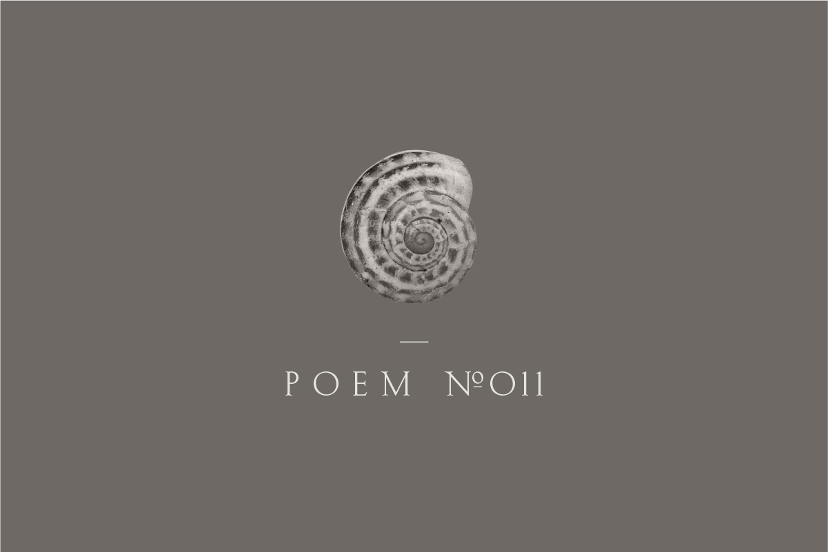 Poem №011