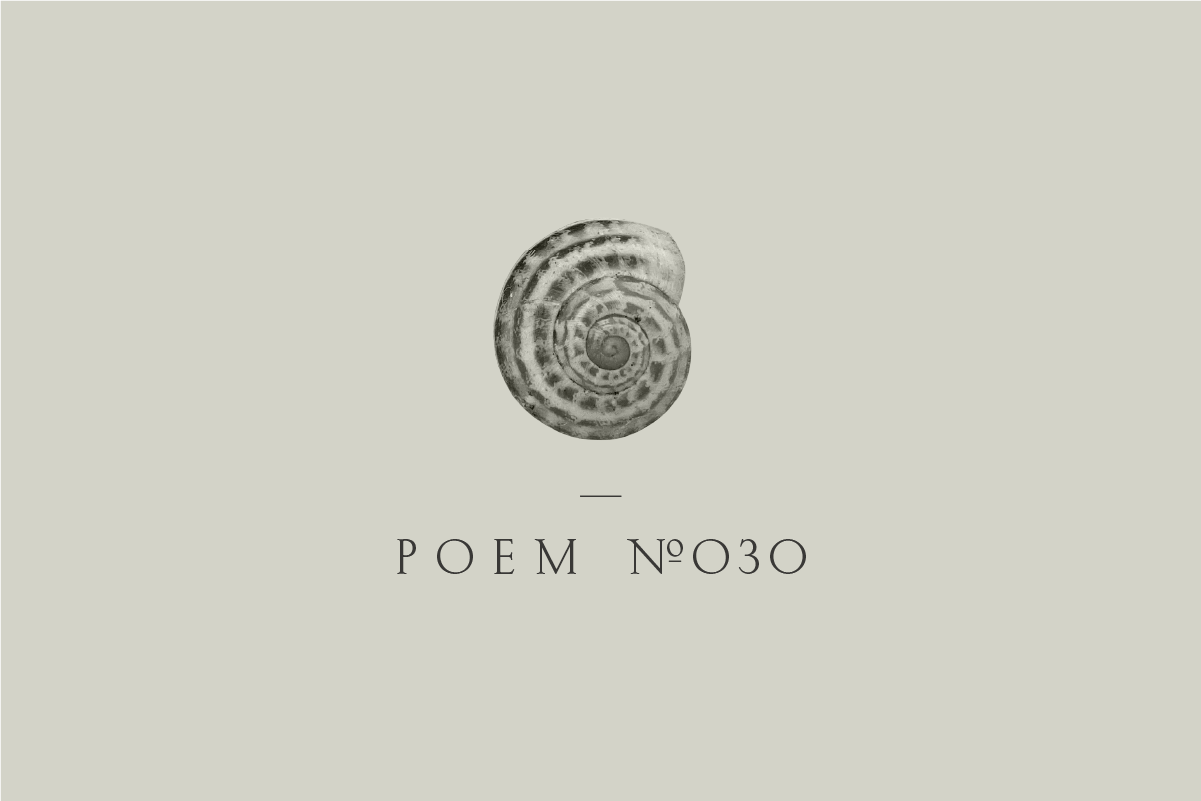 Poem №030