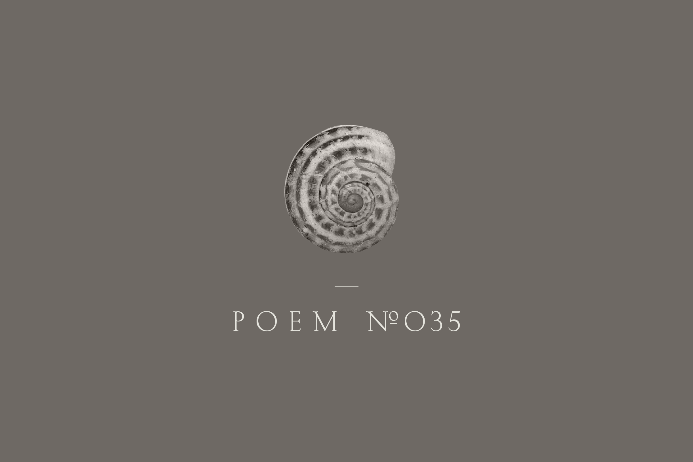 Poem №035