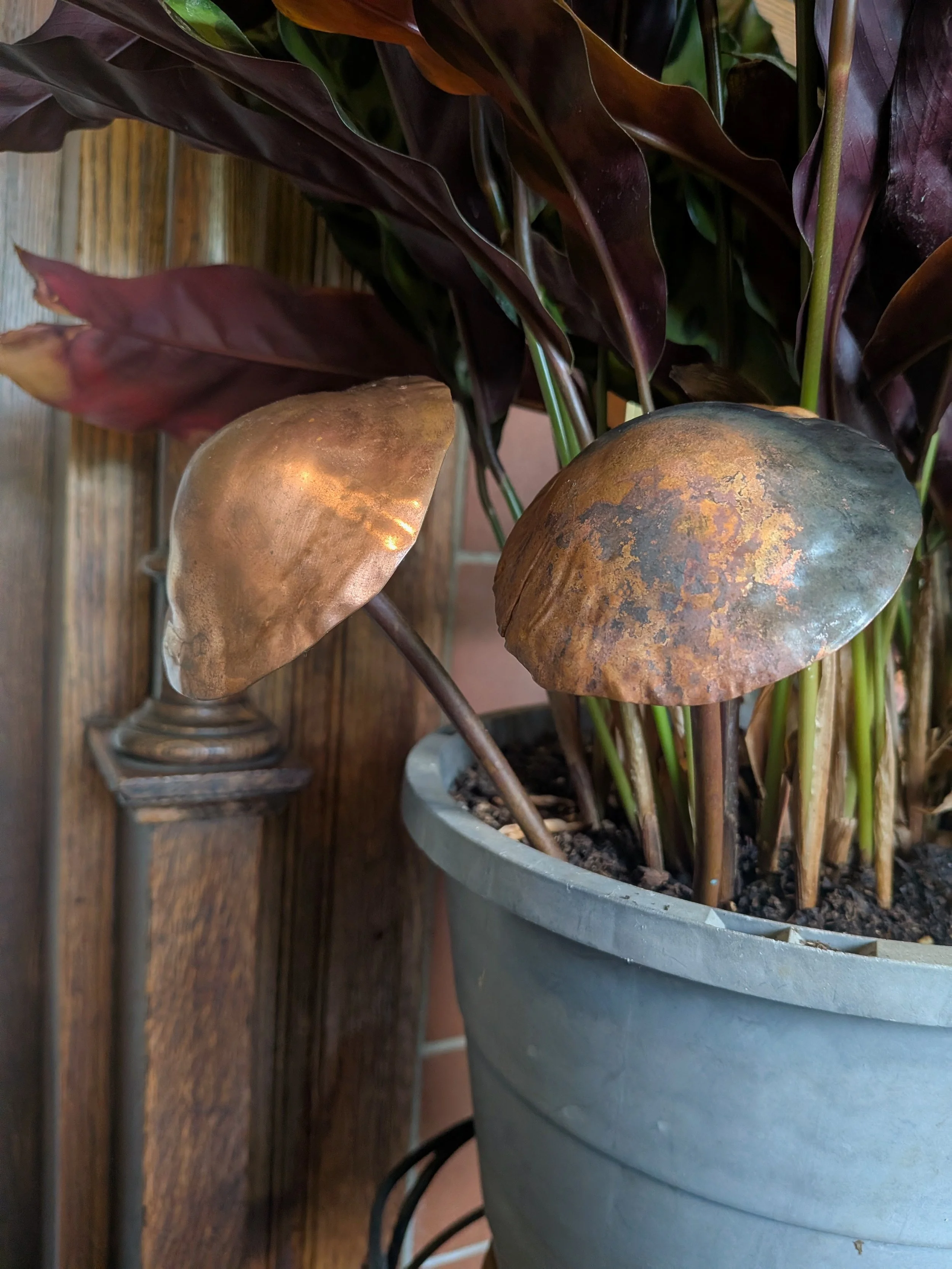 Copper Mushroom