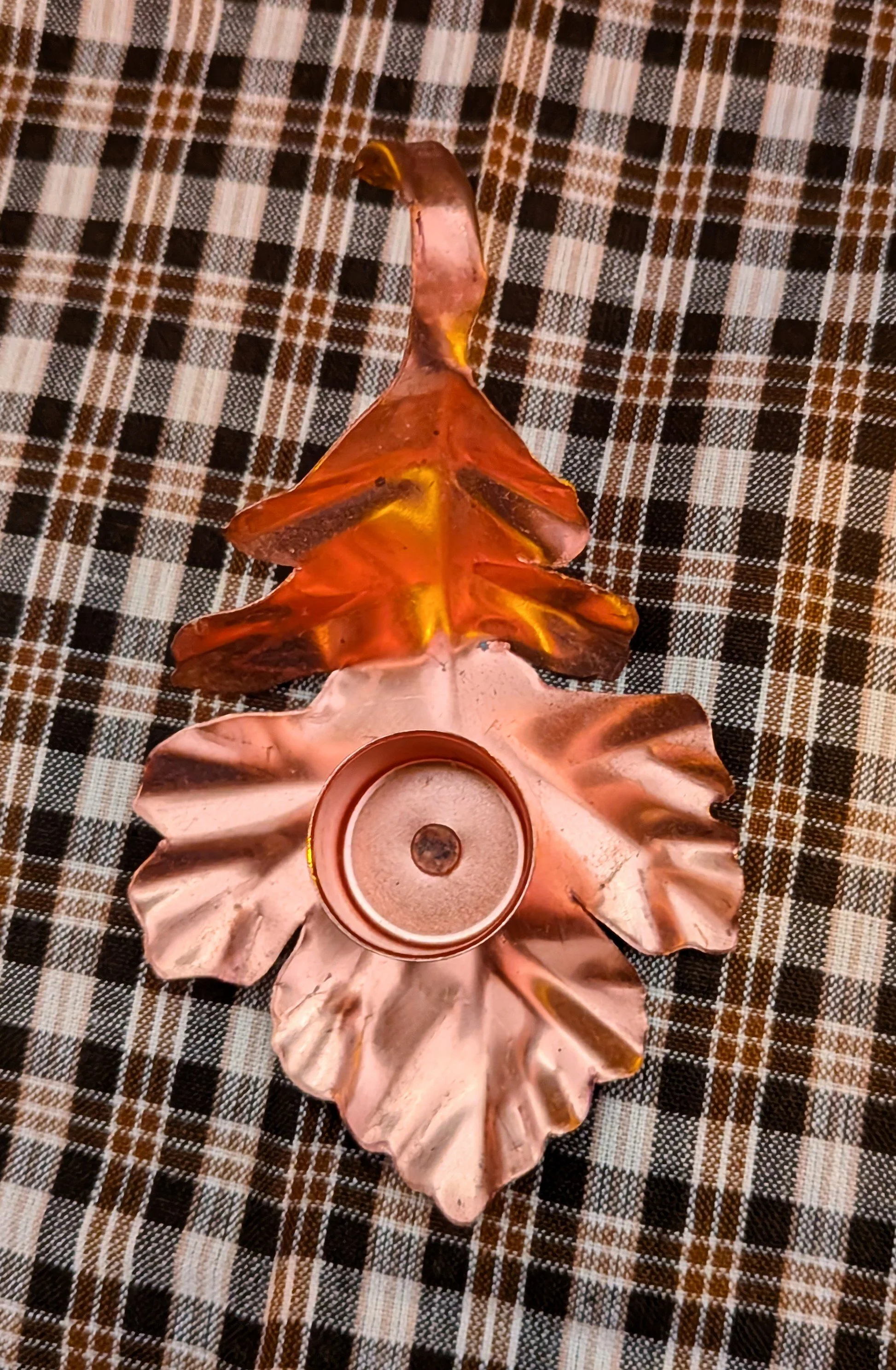 1000012174.jpg