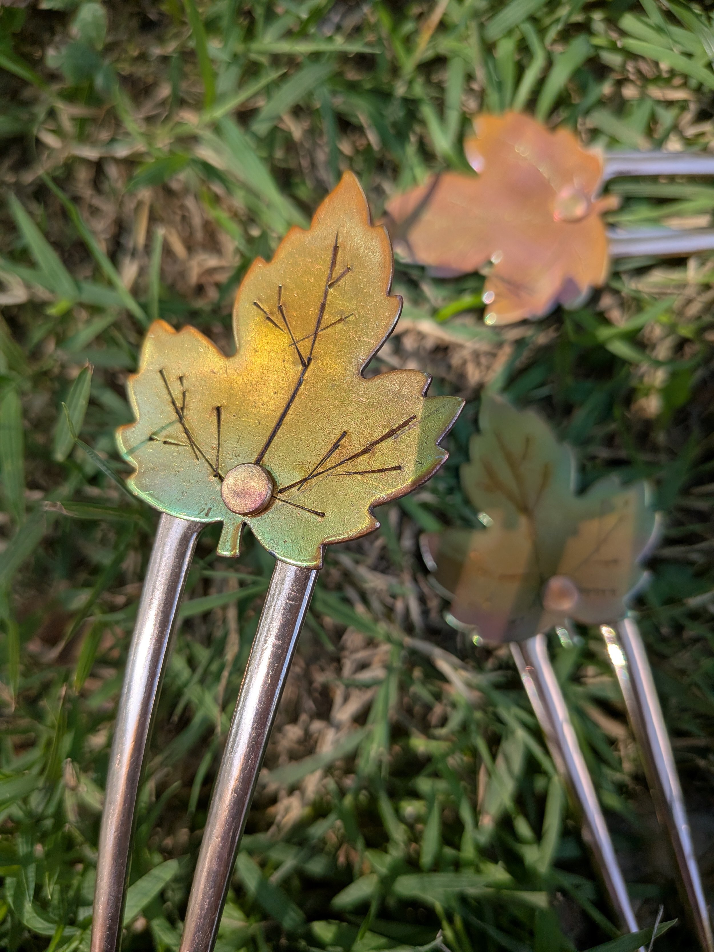 PXL_20250927_172800389.MACRO_FOCUS.jpg