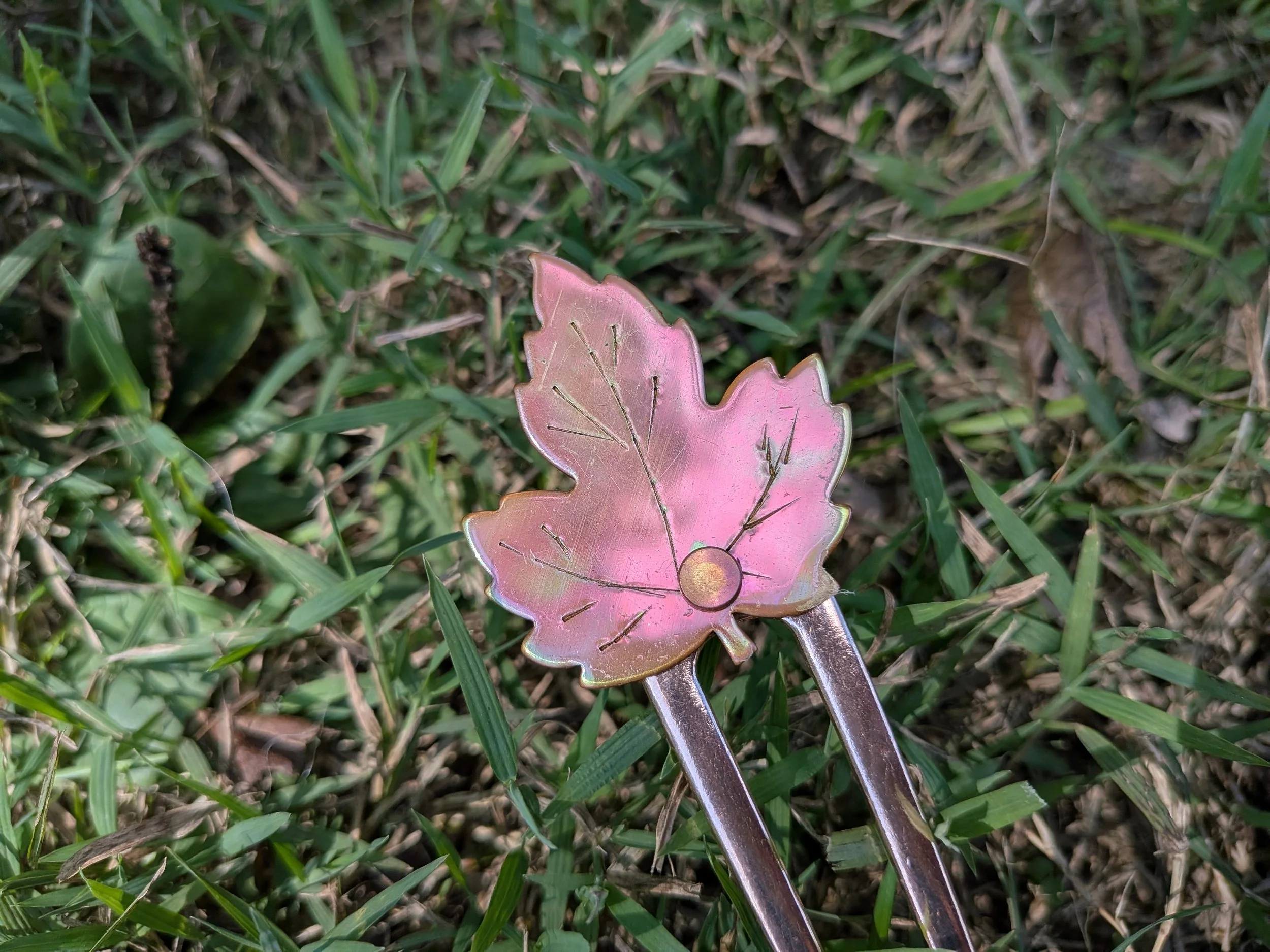 PXL_20250927_173312975.MACRO_FOCUS.jpg