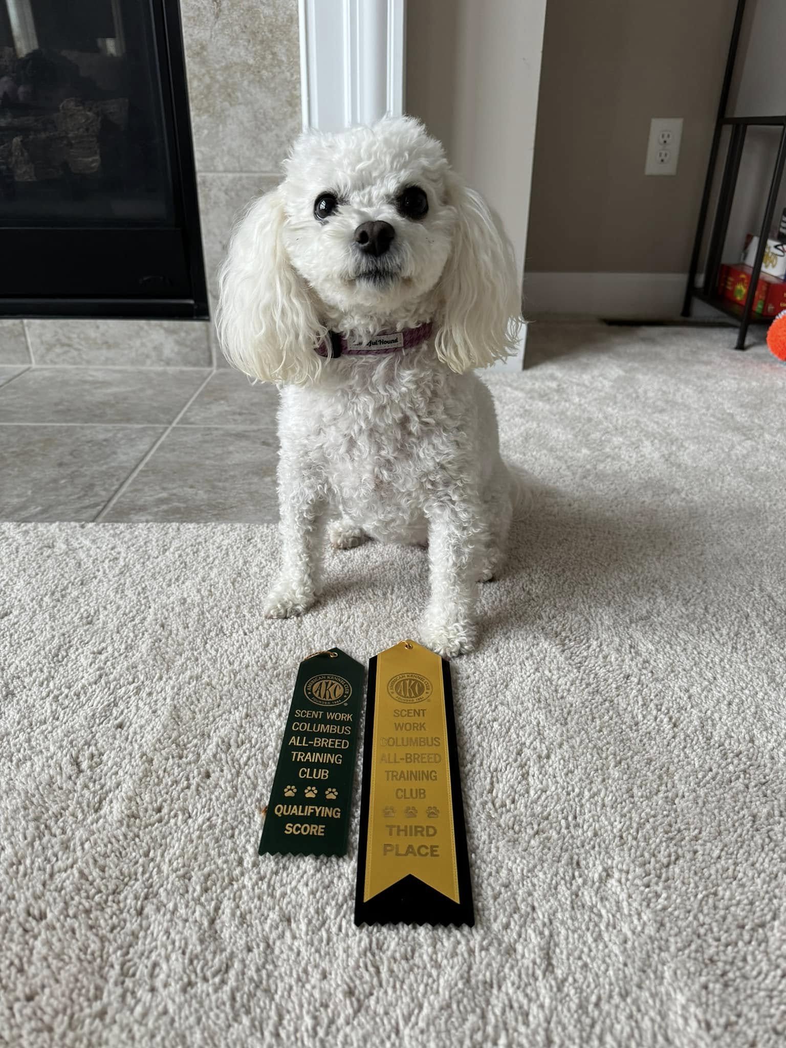 481213576_618234667619774_4911710750917917422_n.jpg