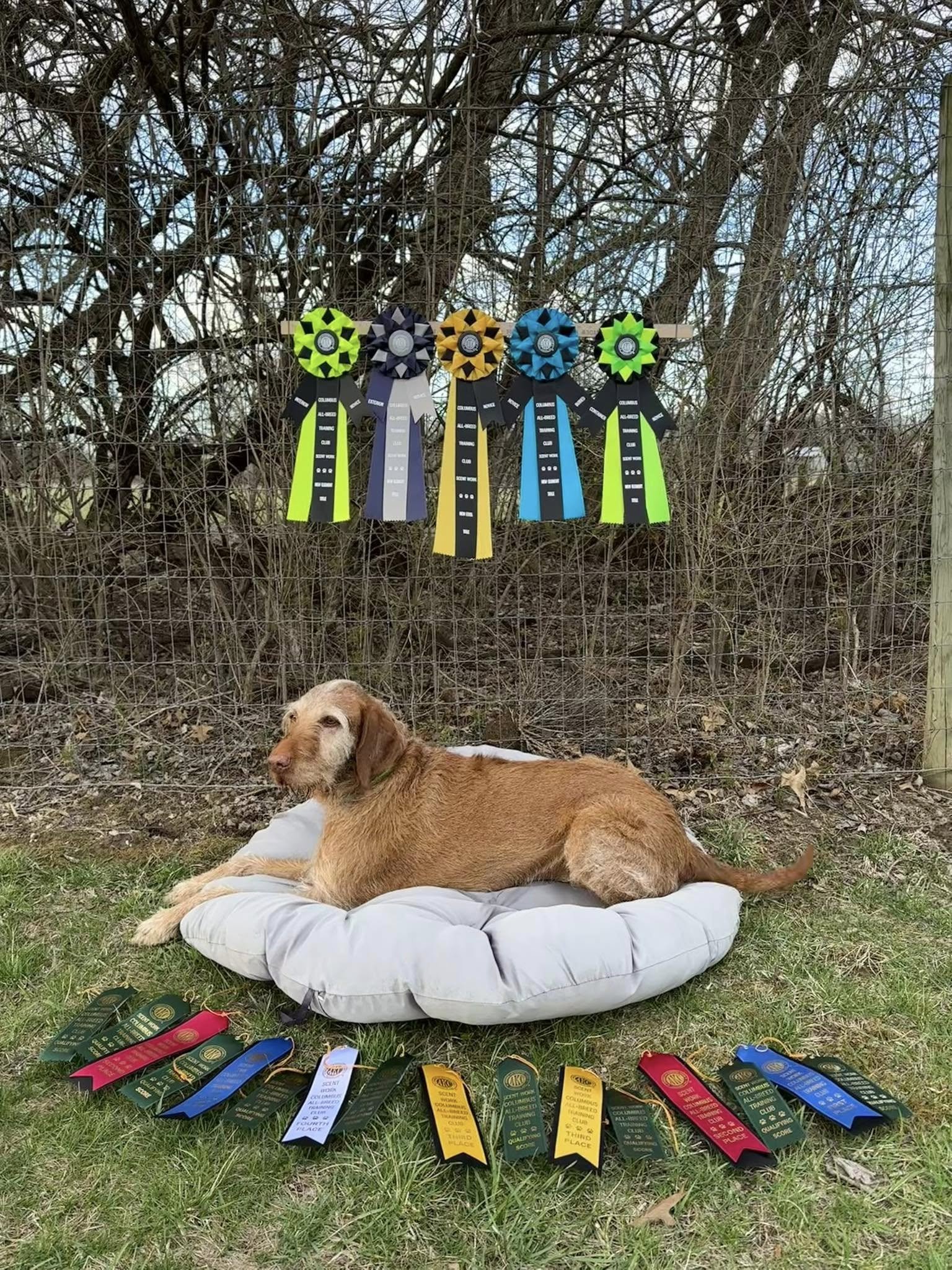 486231393_10237951919636506_6396695618021791745_n.jpg