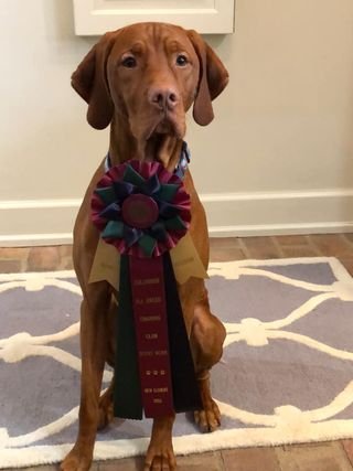 292193885_6058609327489776_922748224809517378_n.jpeg