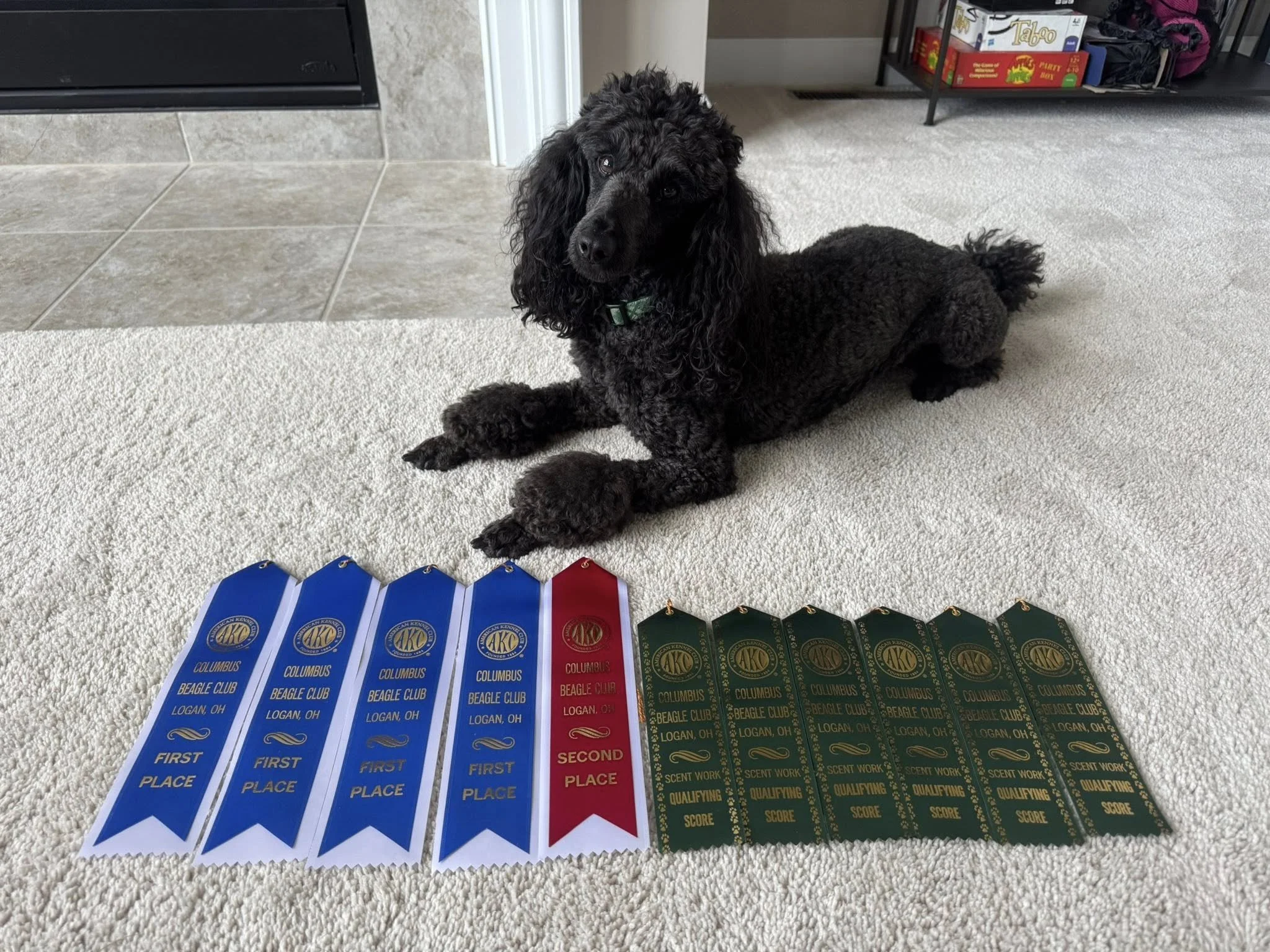 716091050_975050025271568_4695654179030453302_n.jpg