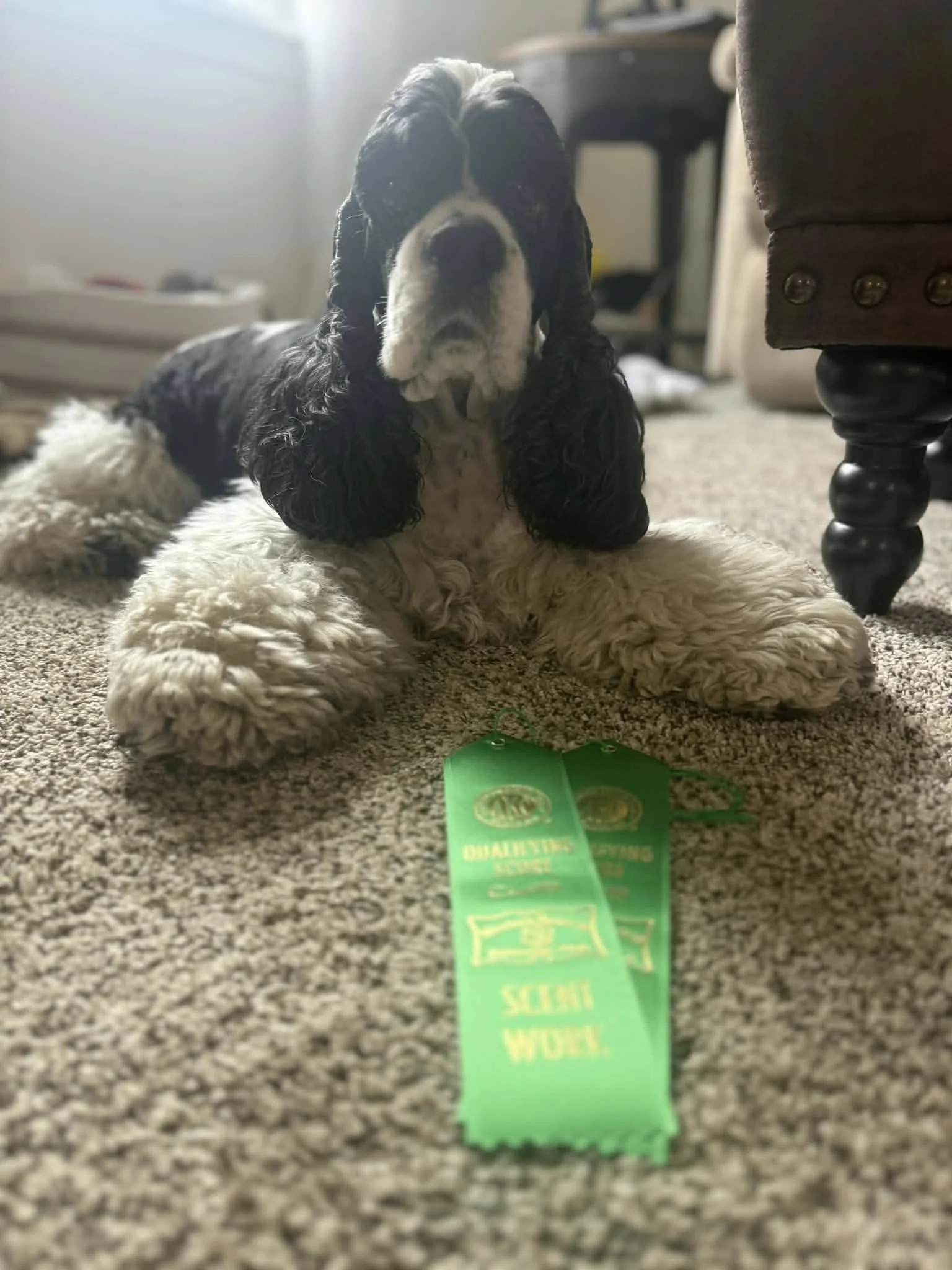 659811302_921742427268995_2221436314288326873_n.jpg