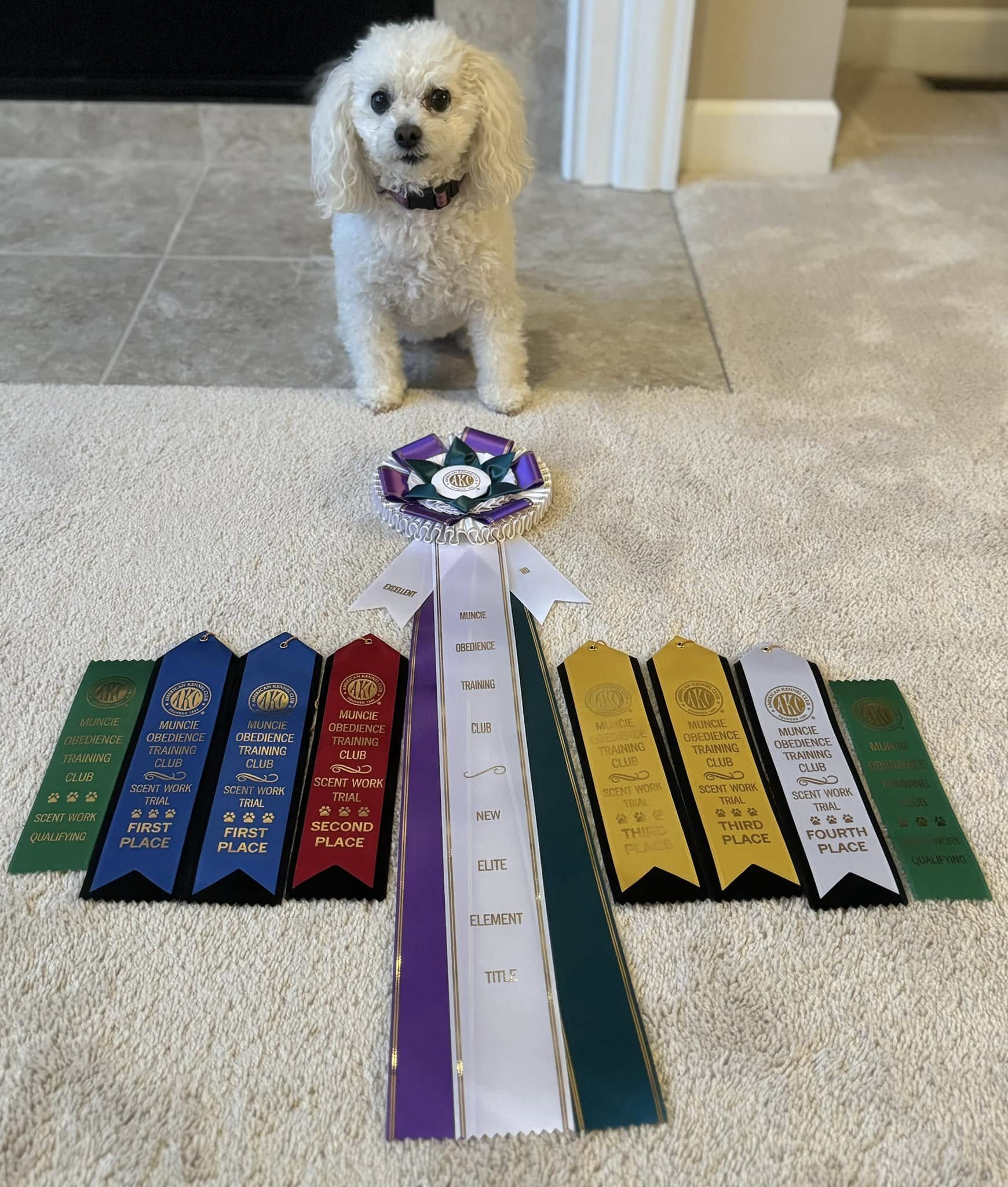 480546445_627224240054150_4028719229335820855_n.jpg
