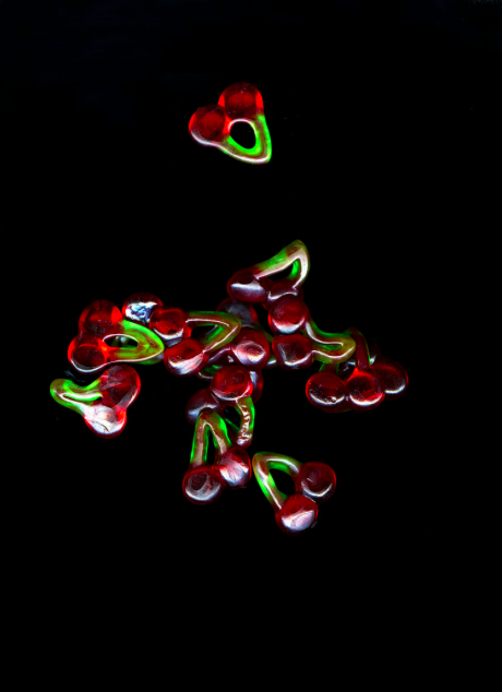 Happy Cherries 72 dpi.png