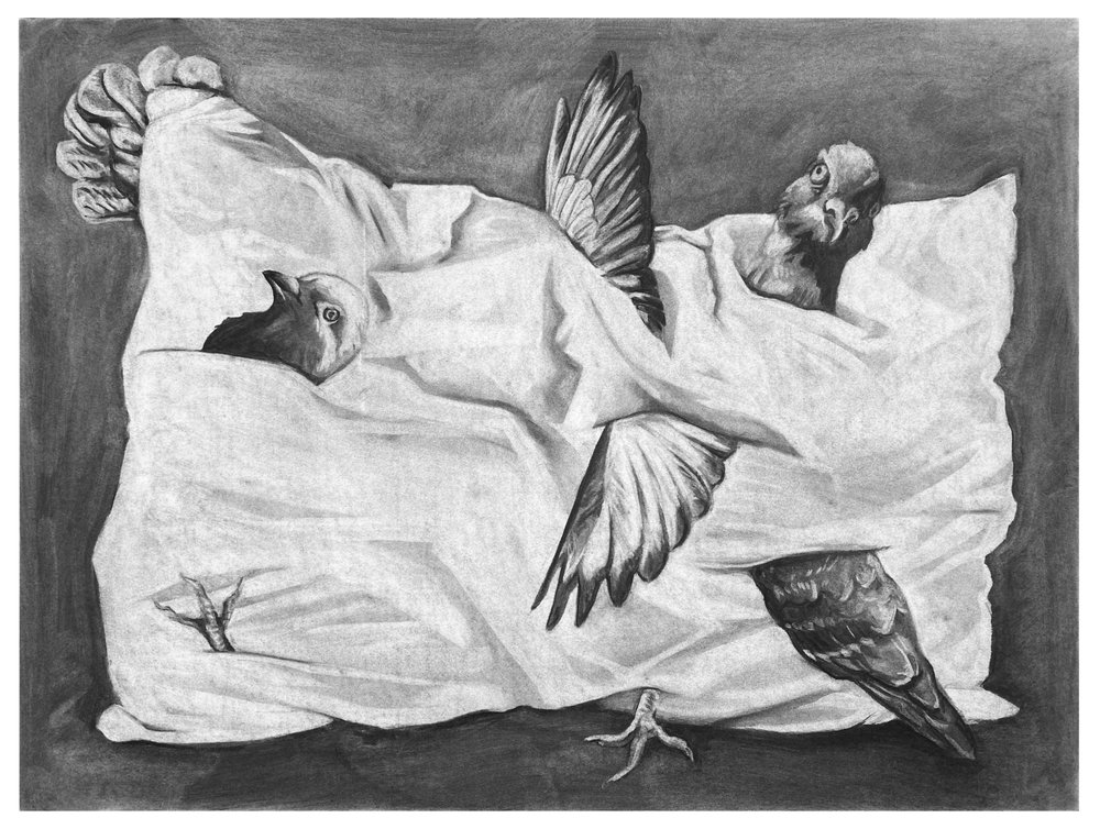 Anna Baldi - Pigeons in my Pillow