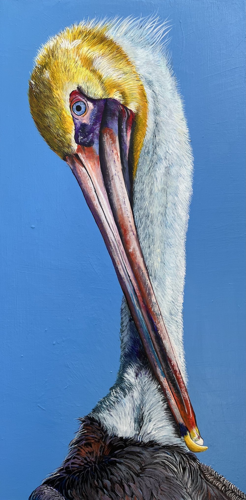 Suzy Radonsky - Feminine Pelican