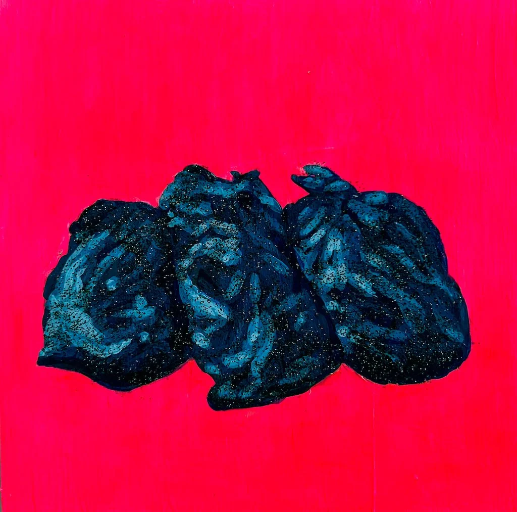 Bailey Stevenson - Glittering Garbage