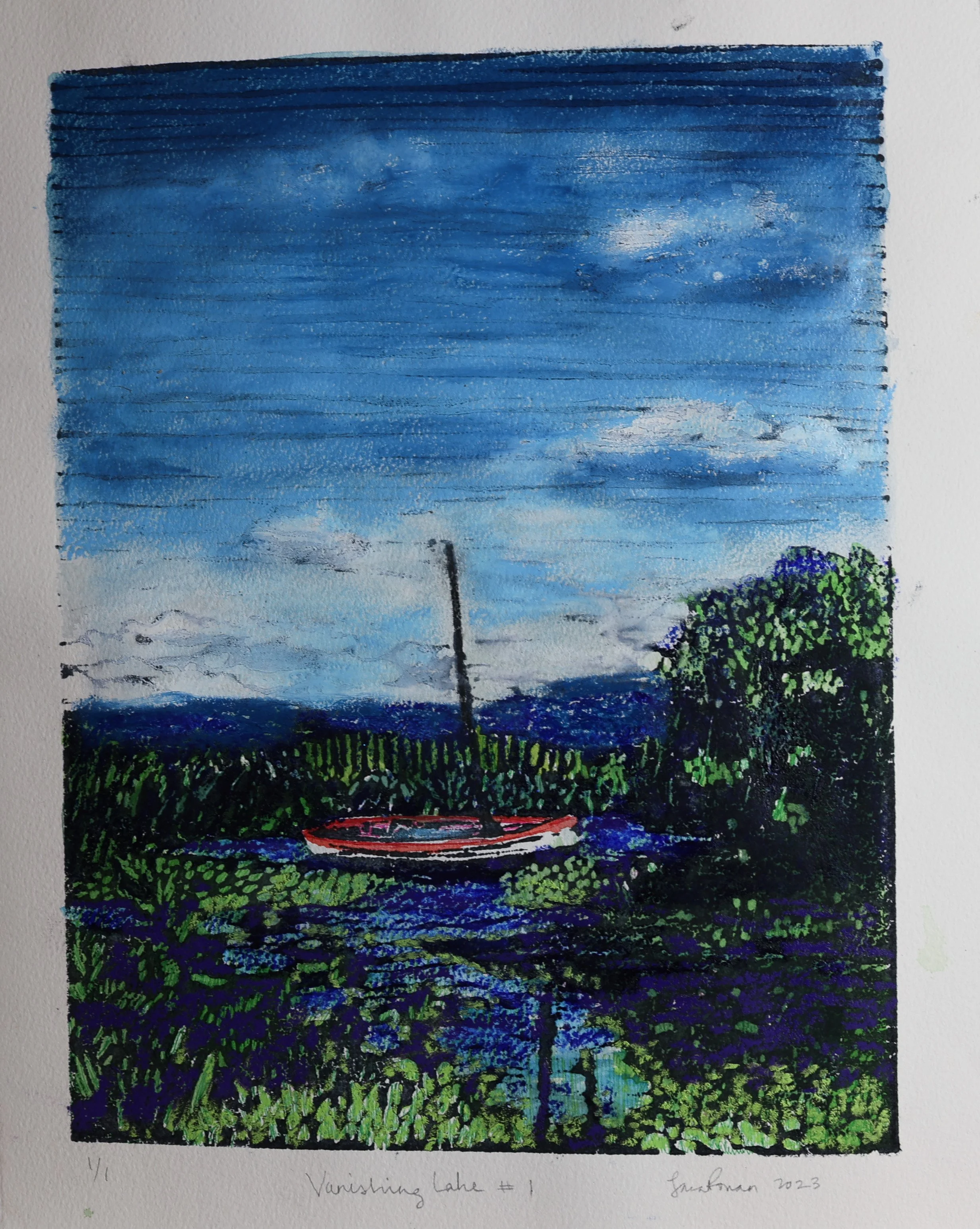 Lara Ronan - Vanishing Lake #1