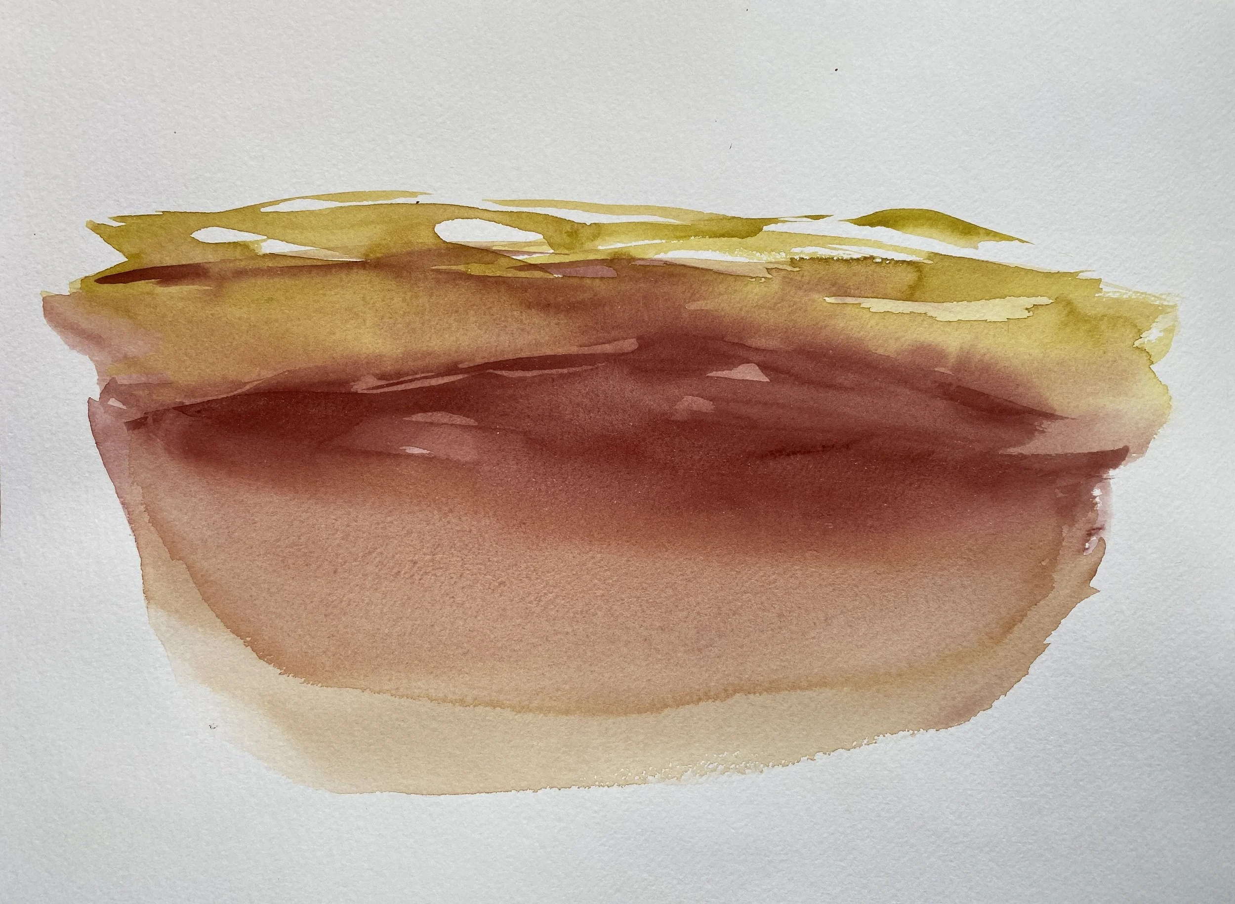 Maria Evans - Desert