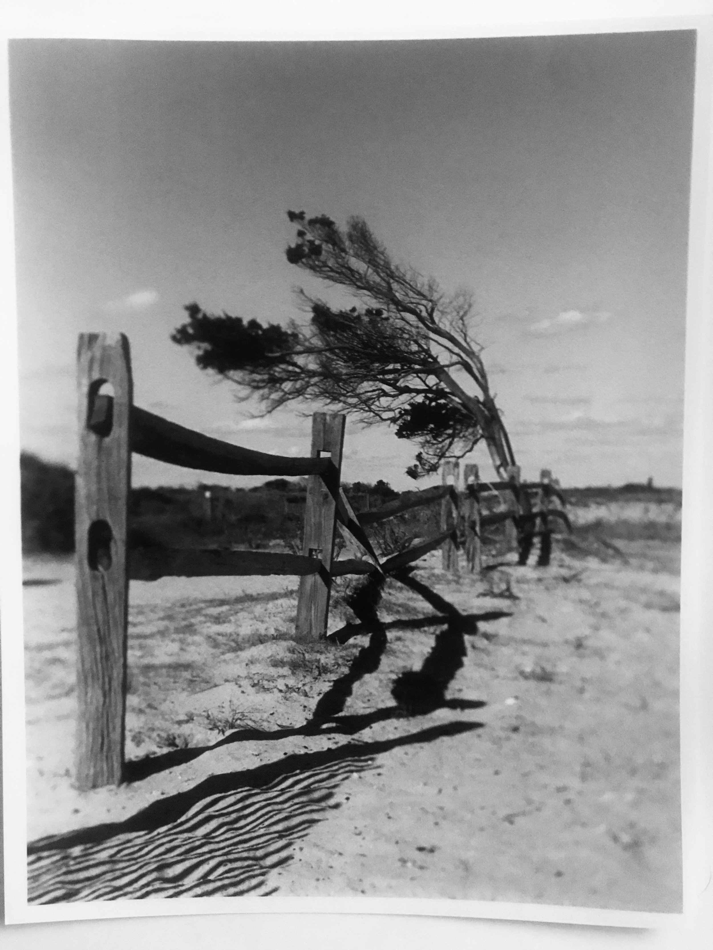 Maureen McMasters - To the Left