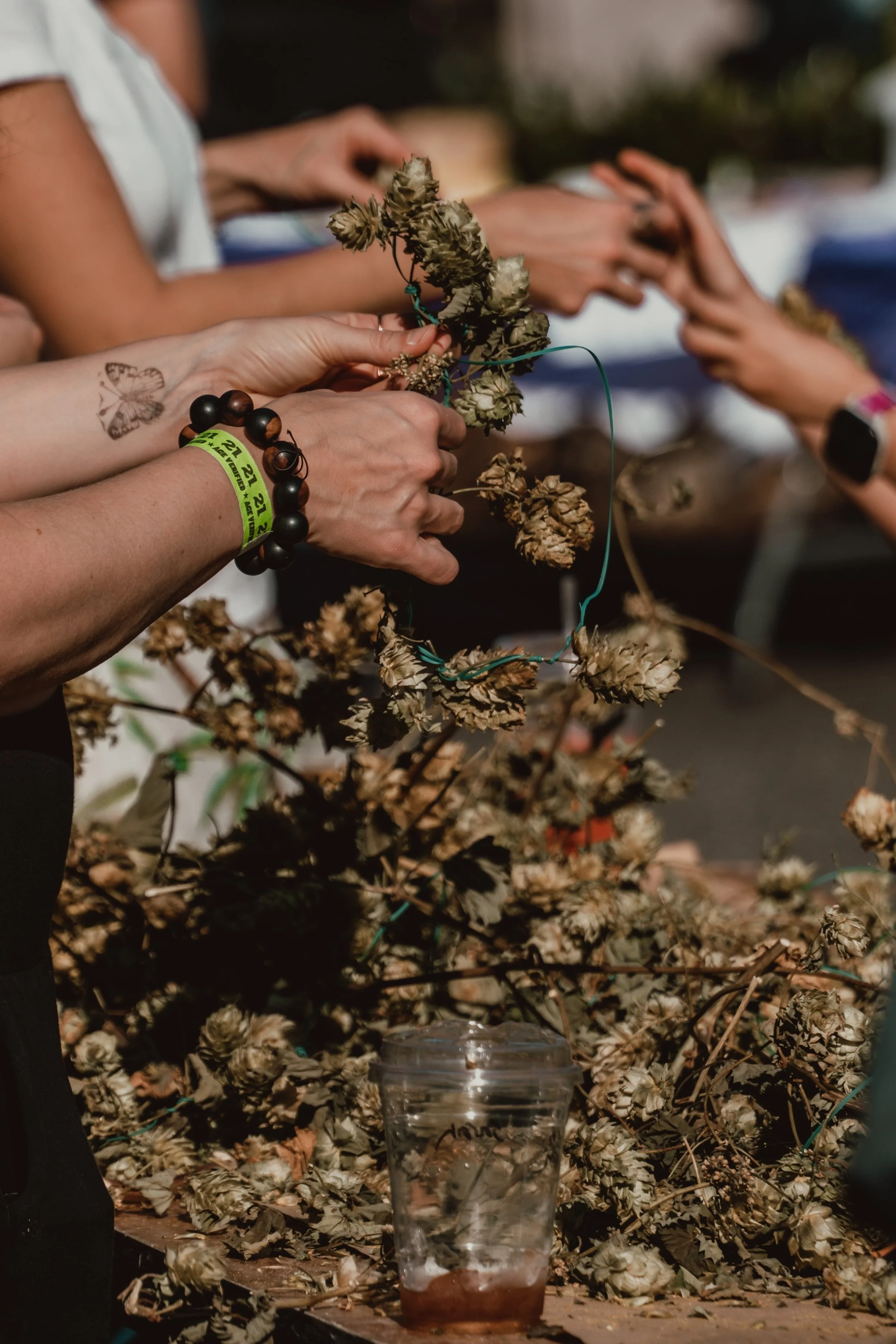 Hood River Hops Fest