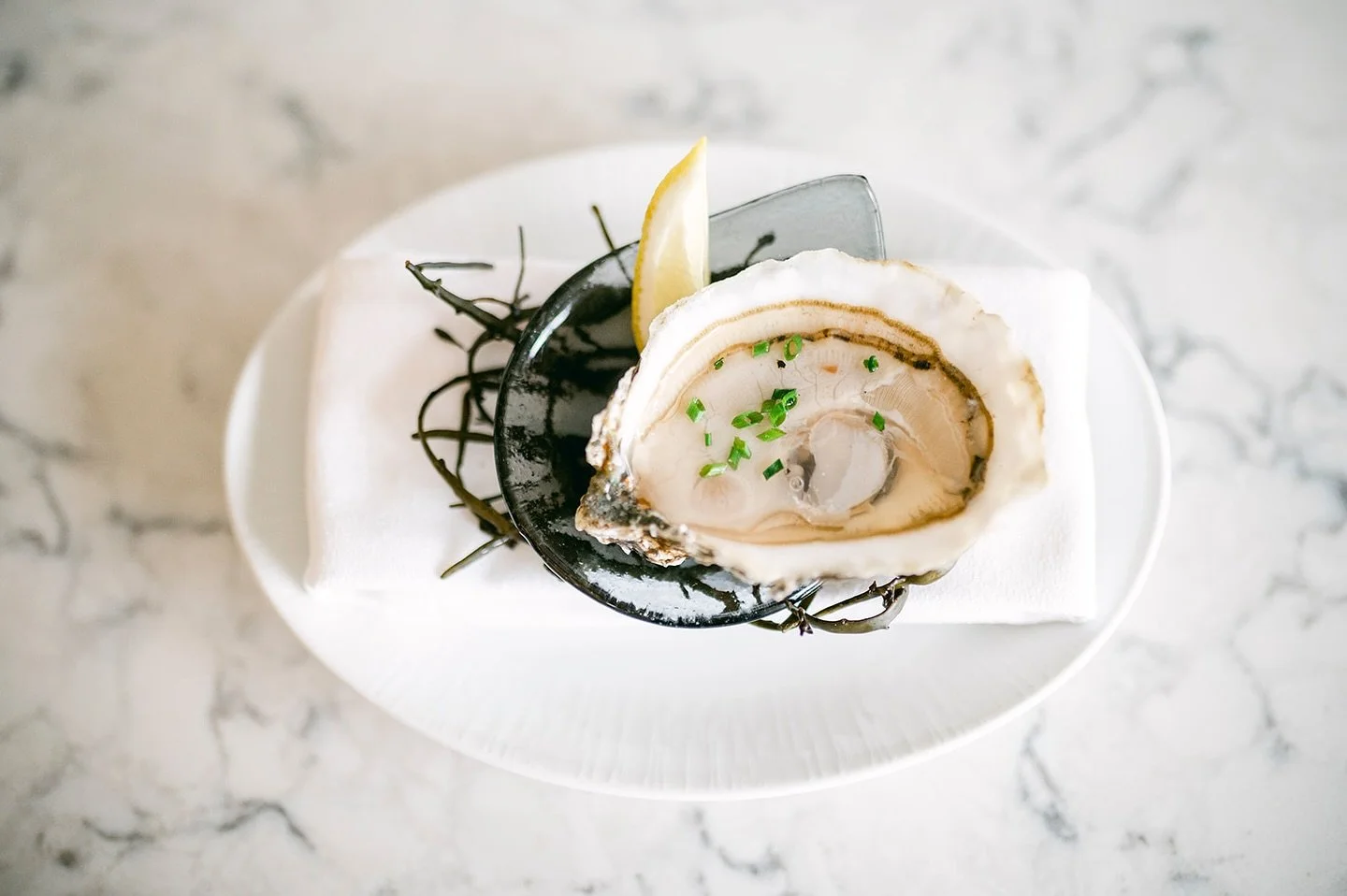 Oysterponds Oysters 🦪
Fresh from Orient Point, NY
Join us this week for an unforgettable meal!
Lunch: 12:30–2:30 PM
Dinner: 5:00 PM (4:00 PM on Sunday)
#lucastonybrook