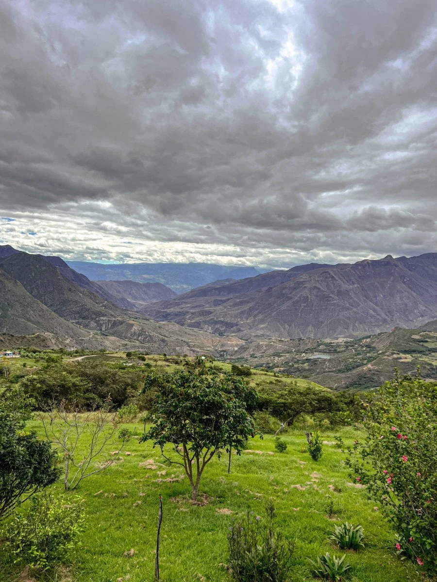 image of dramatic mountains in Ecuador with coffee trees